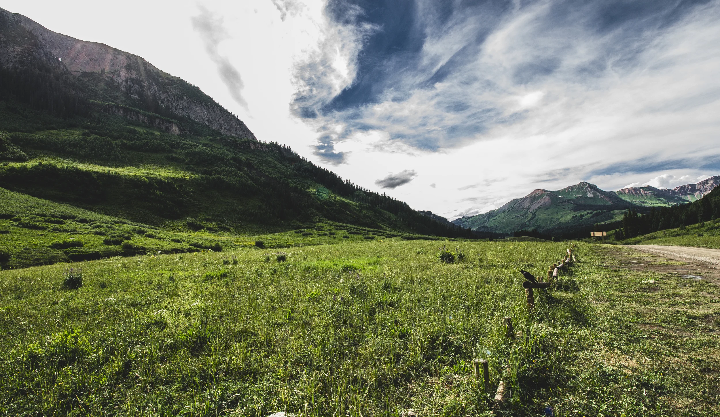 spotremoval (12 of 12).jpg