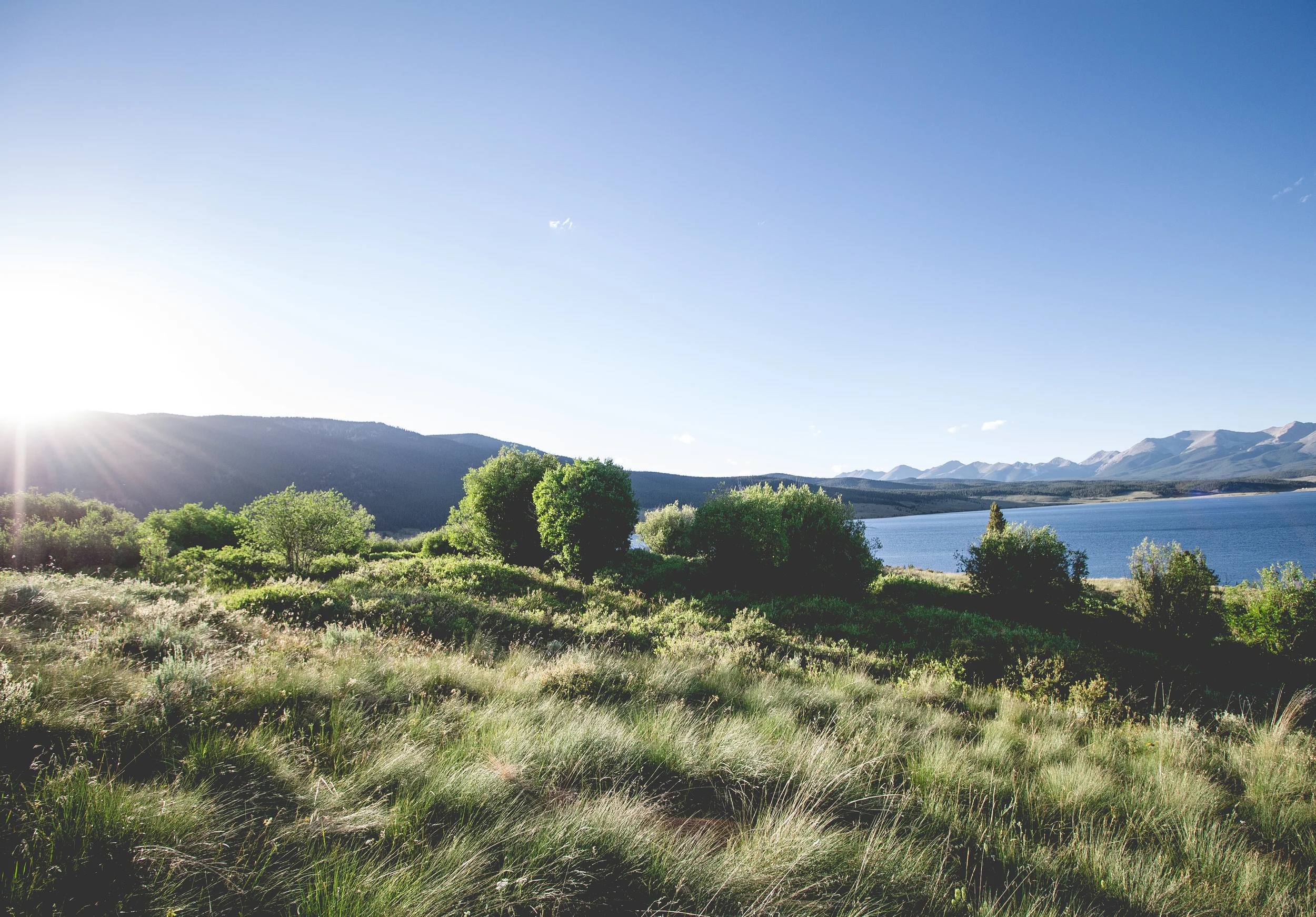 spotremoval (8 of 12).jpg