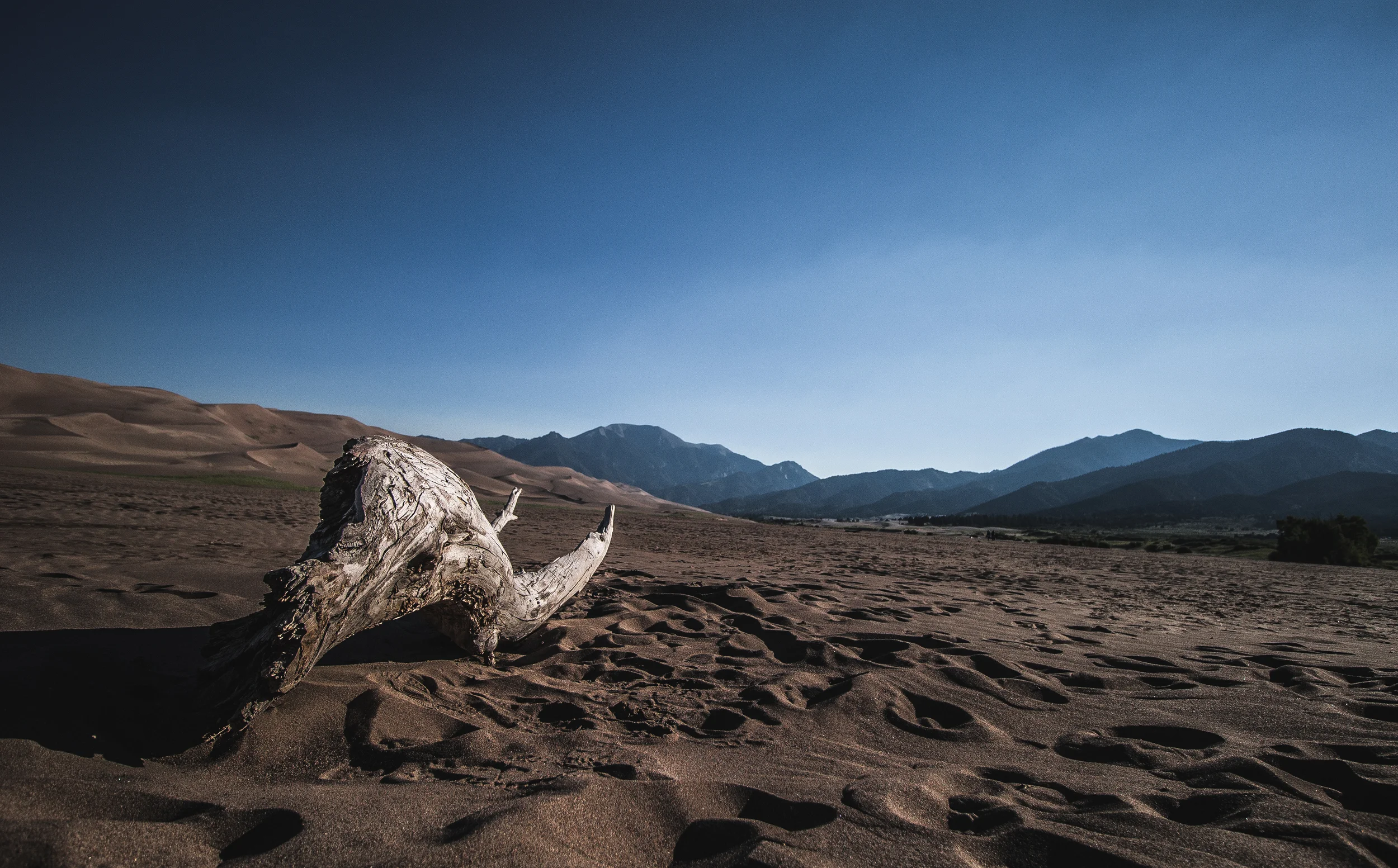 spotremoval (7 of 12).jpg