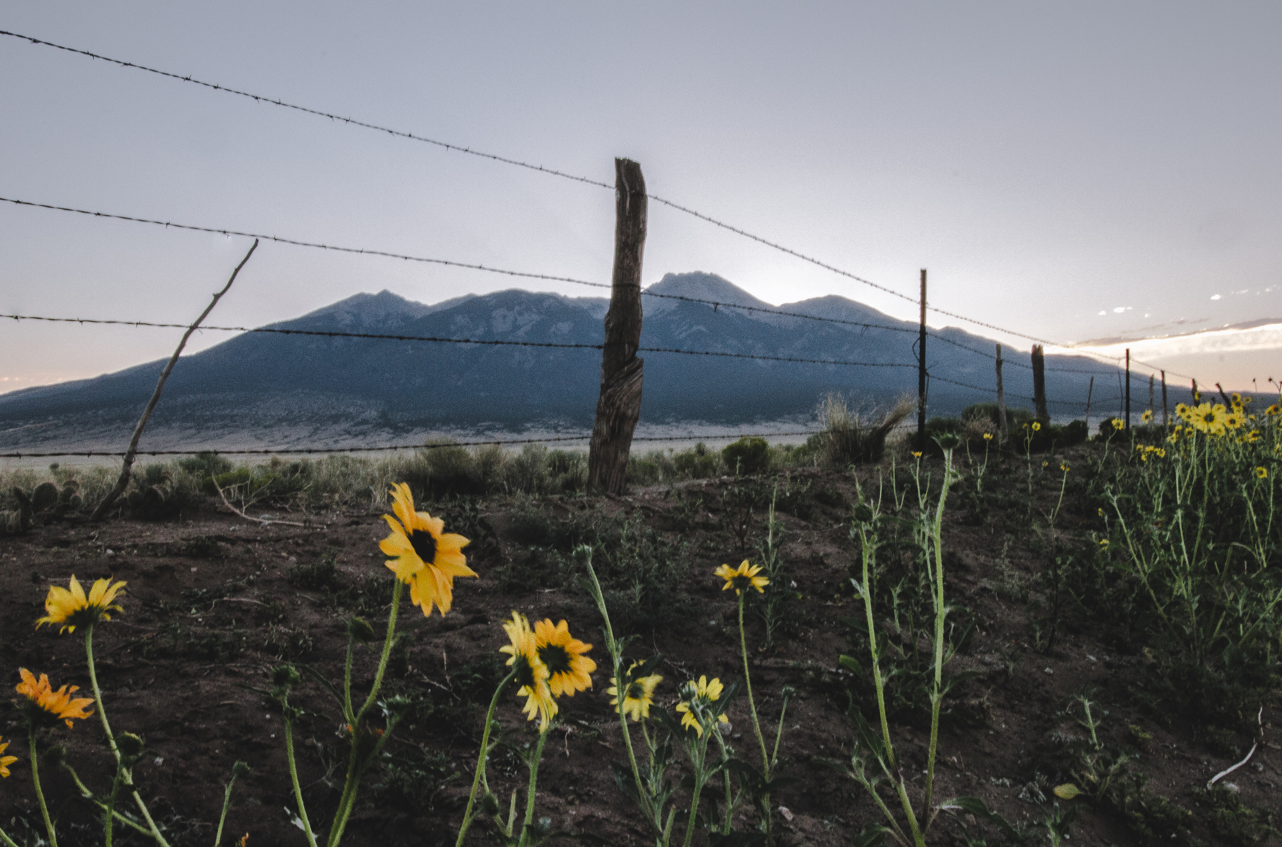 spotremoval (1 of 12).jpg