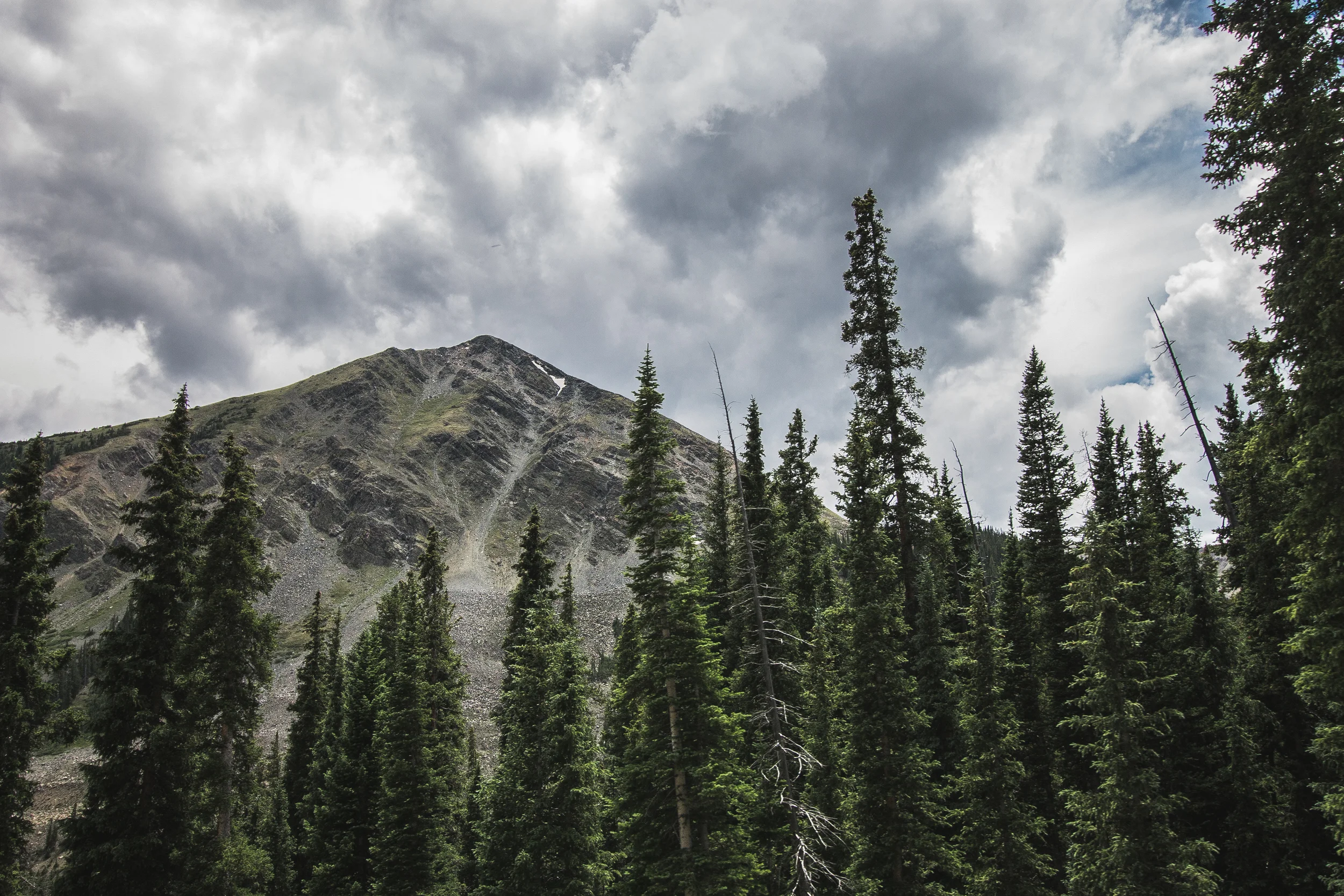 thetrip (60 of 68).jpg