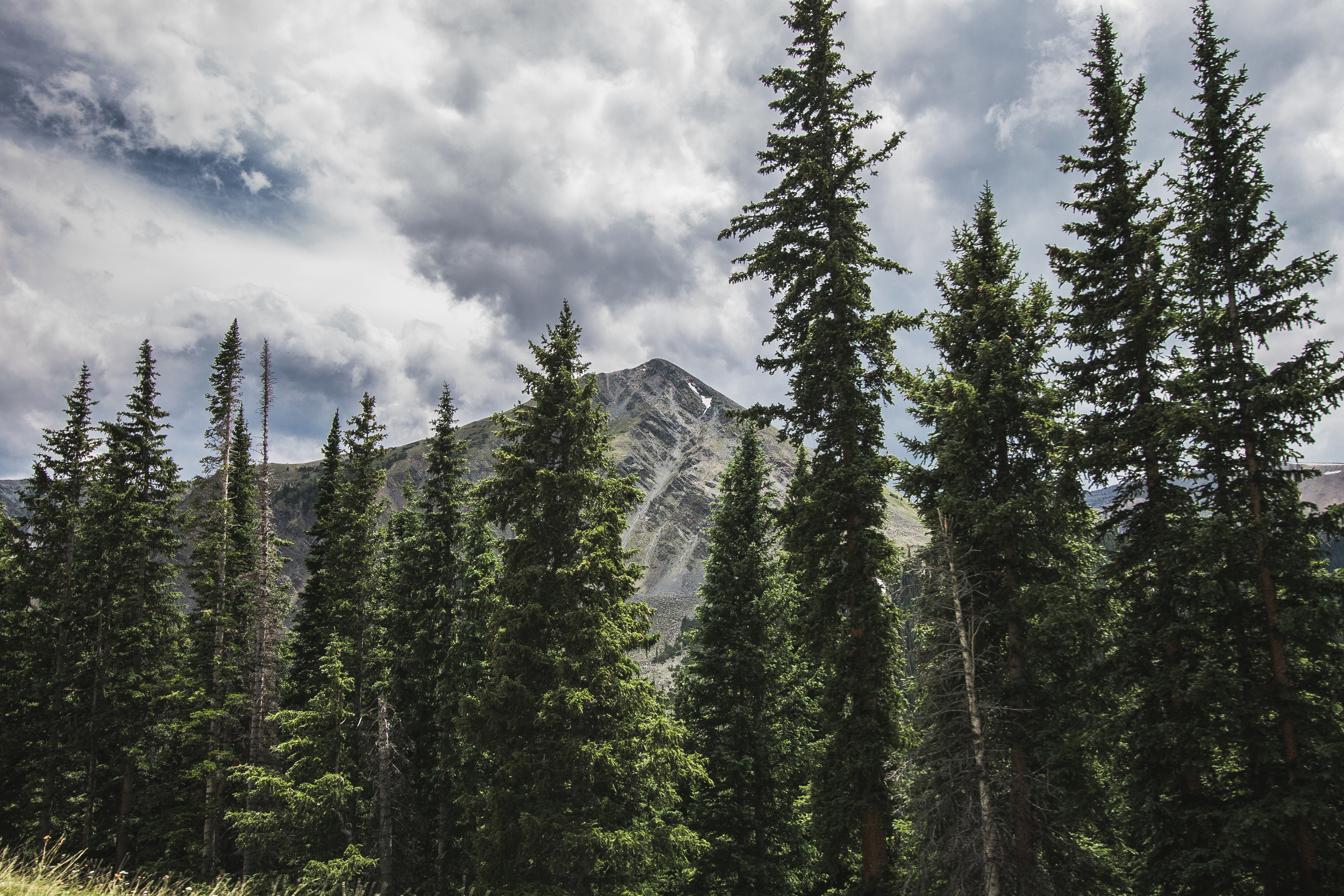 thetrip (58 of 68).jpg