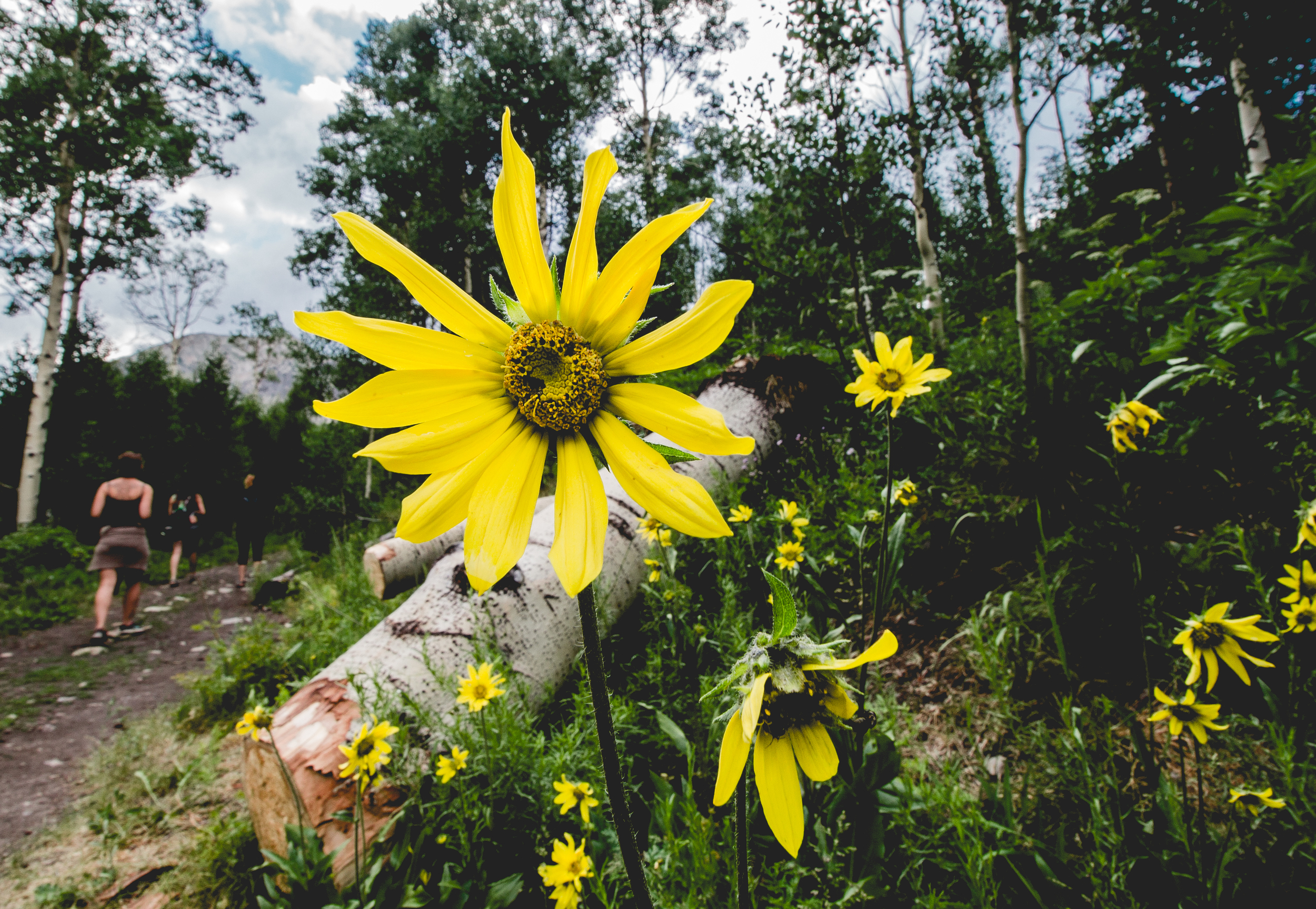 thetrip (56 of 68).jpg