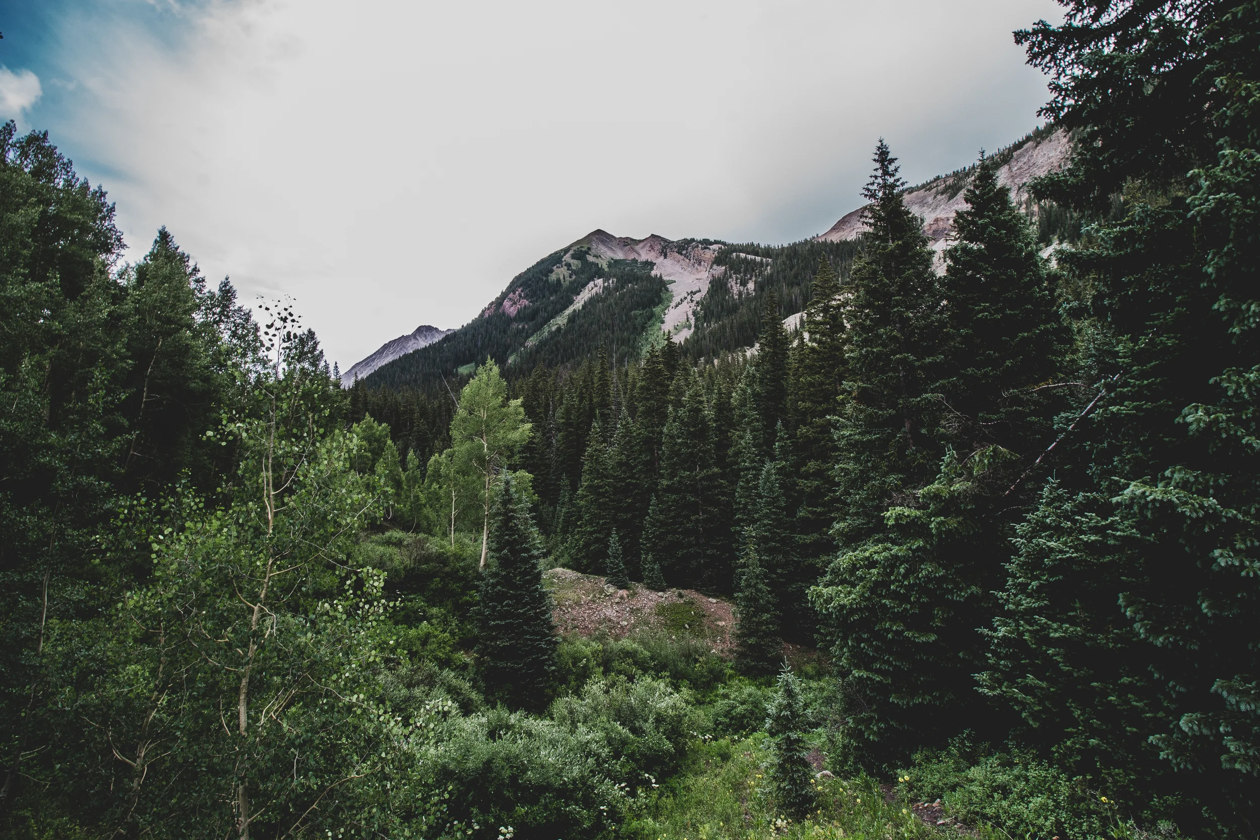 thetrip (55 of 68).jpg