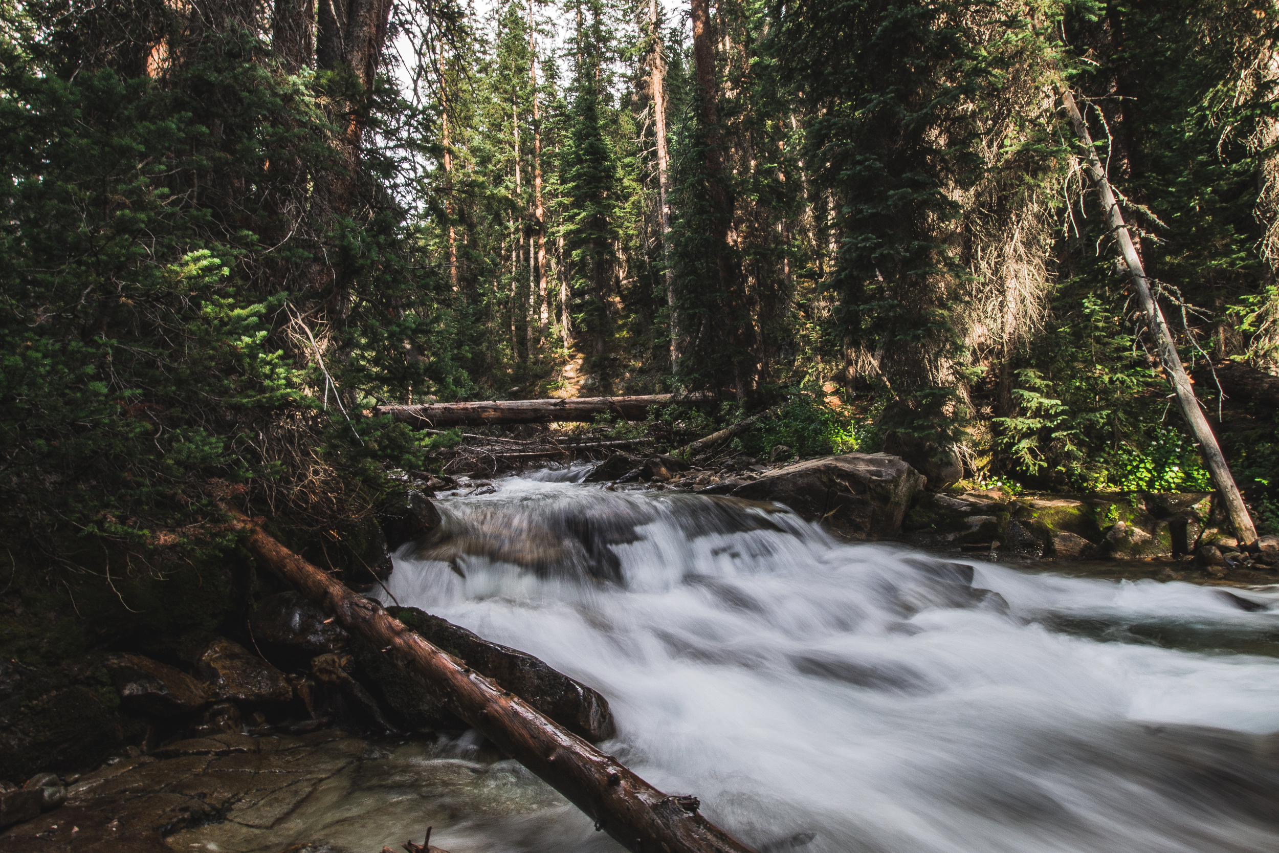 thetrip (54 of 68).jpg