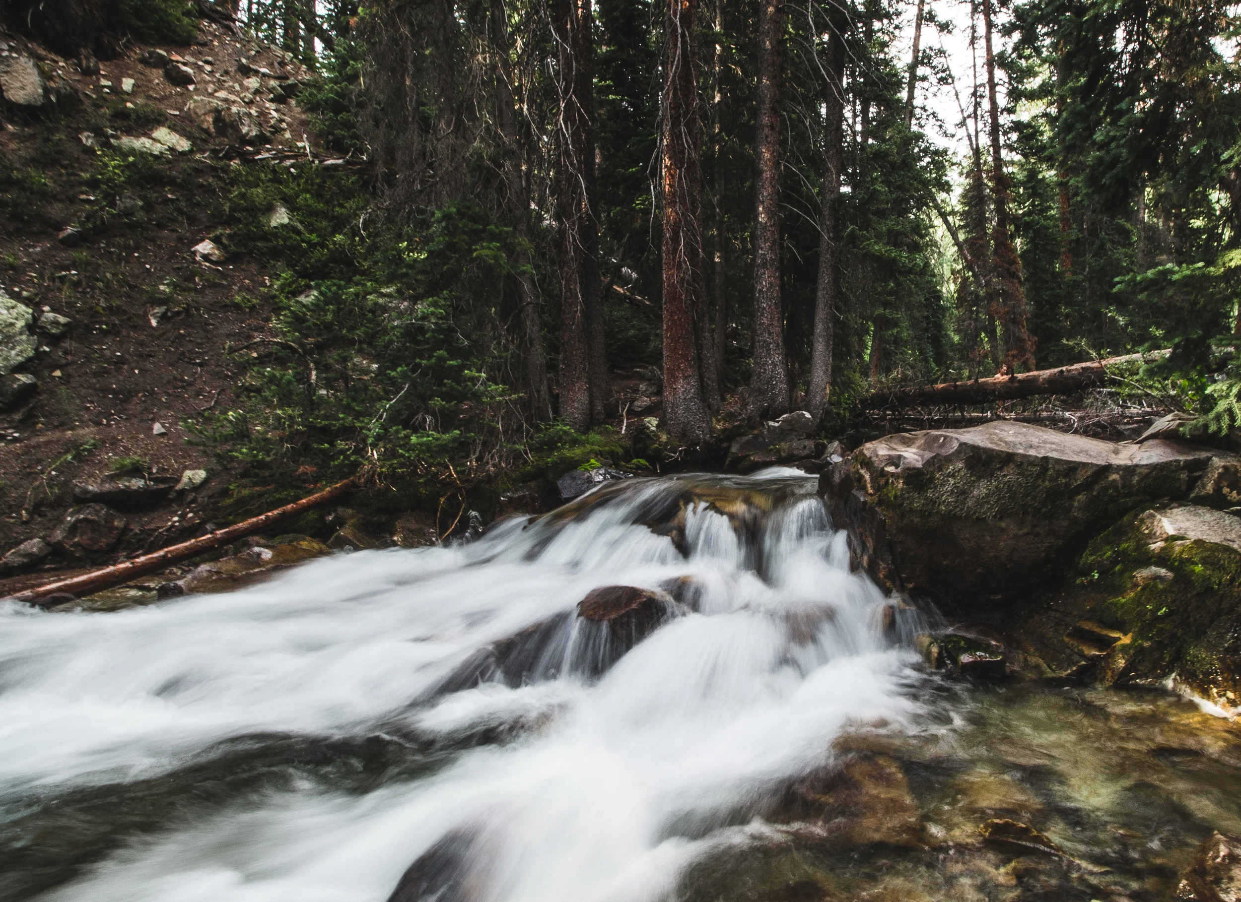 thetrip (51 of 68).jpg