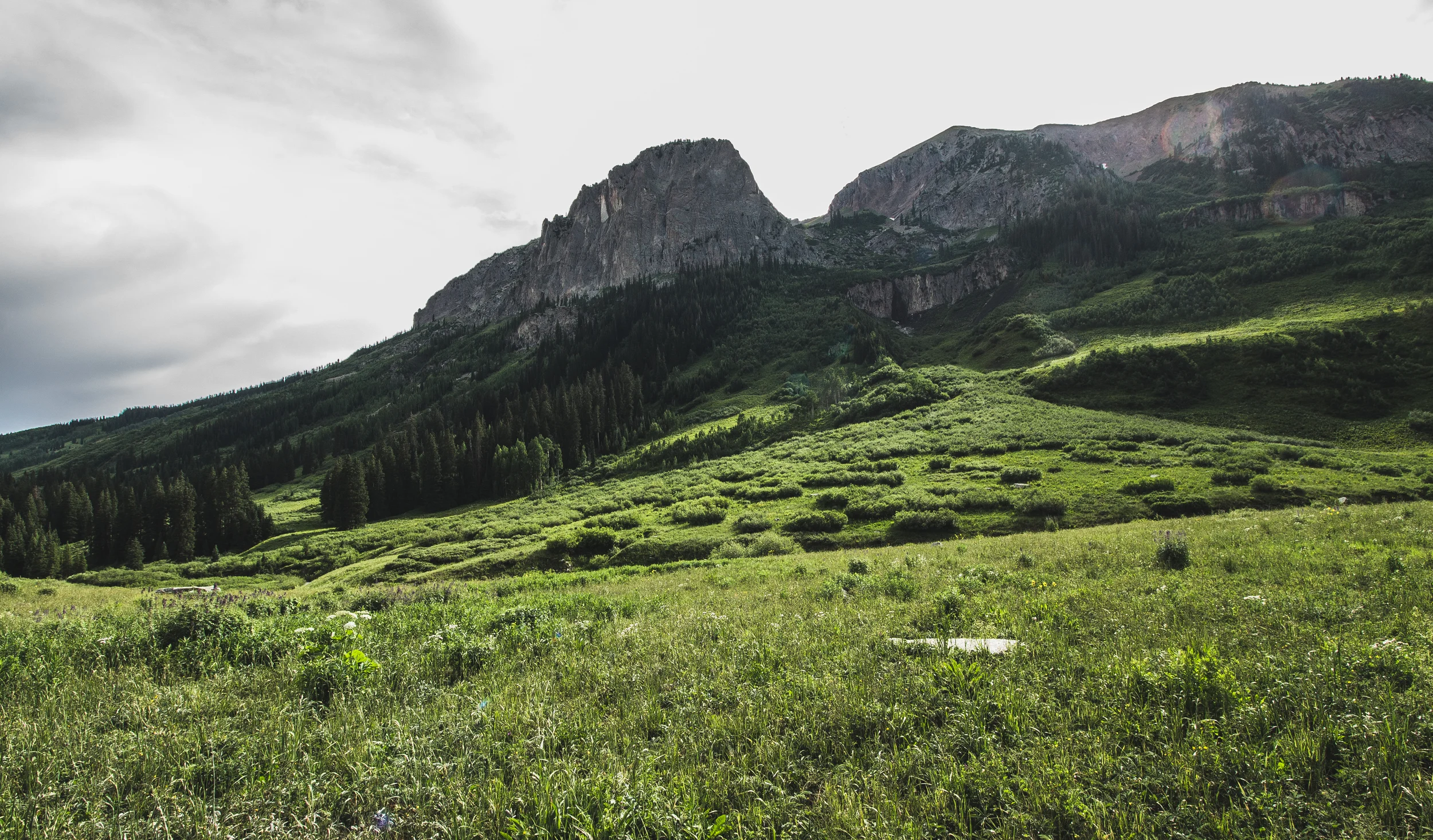 thetrip (49 of 68).jpg