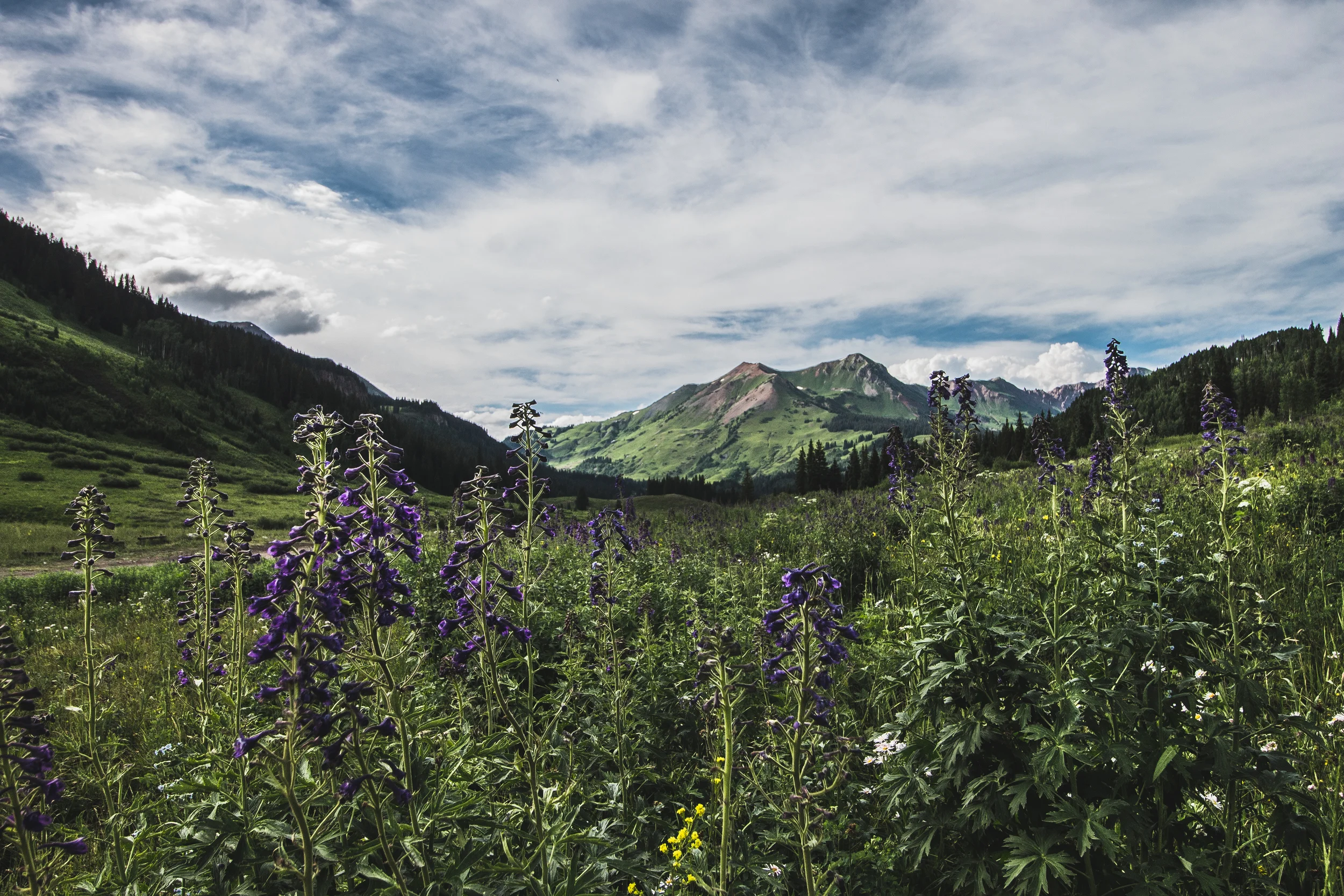 thetrip (46 of 68).jpg