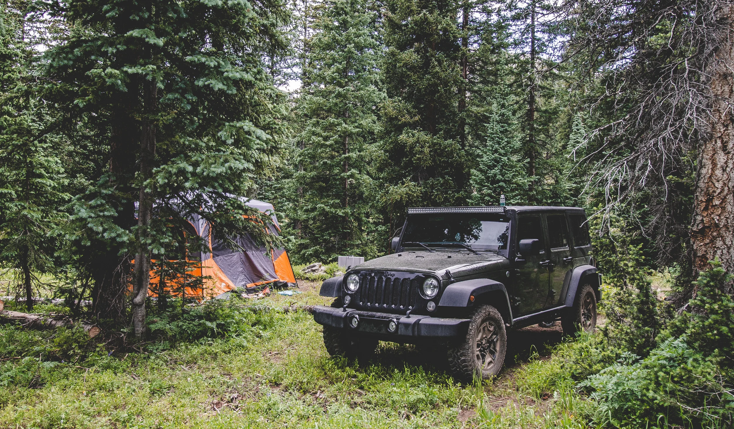 thetrip (42 of 68).jpg