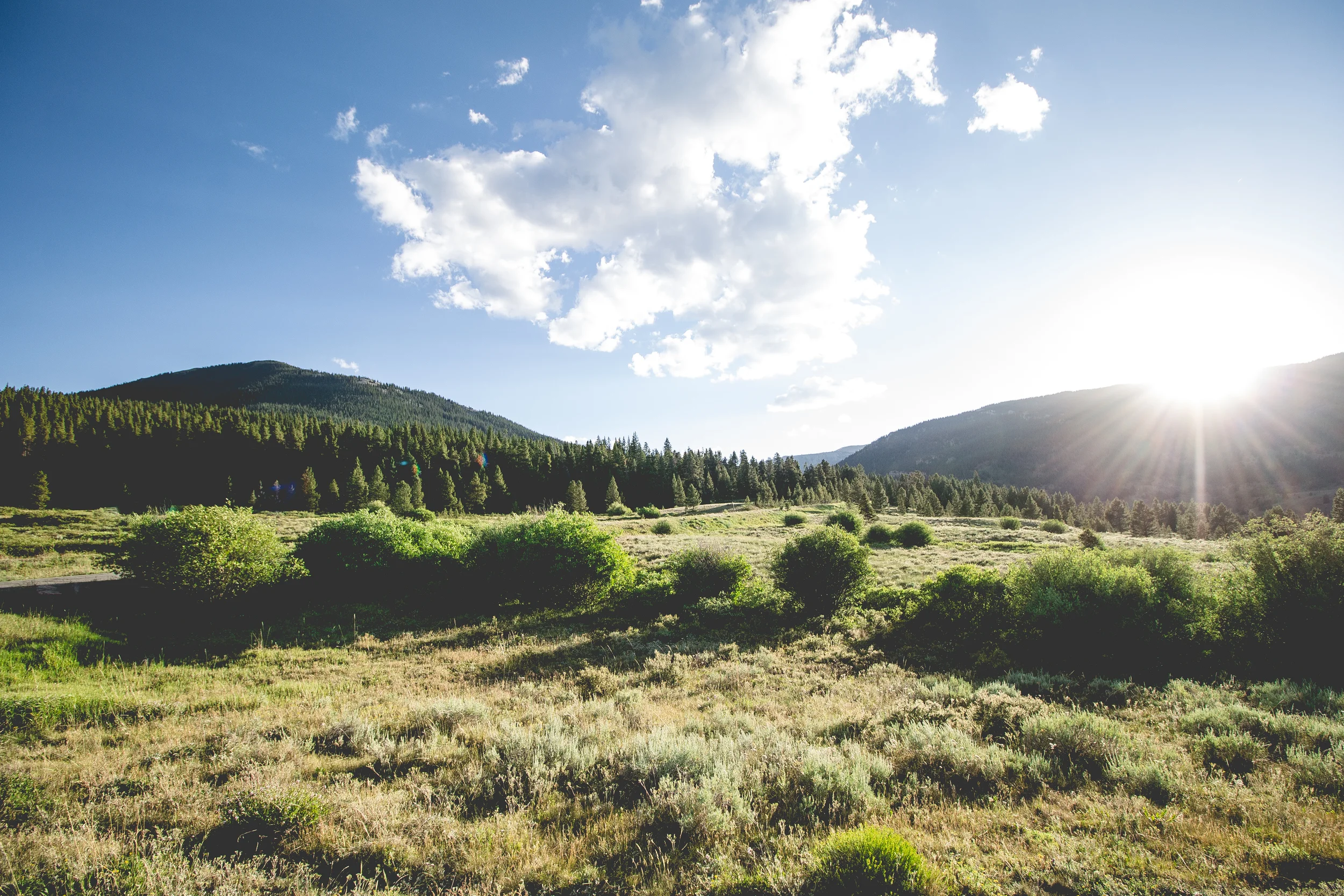 thetrip (30 of 68).jpg