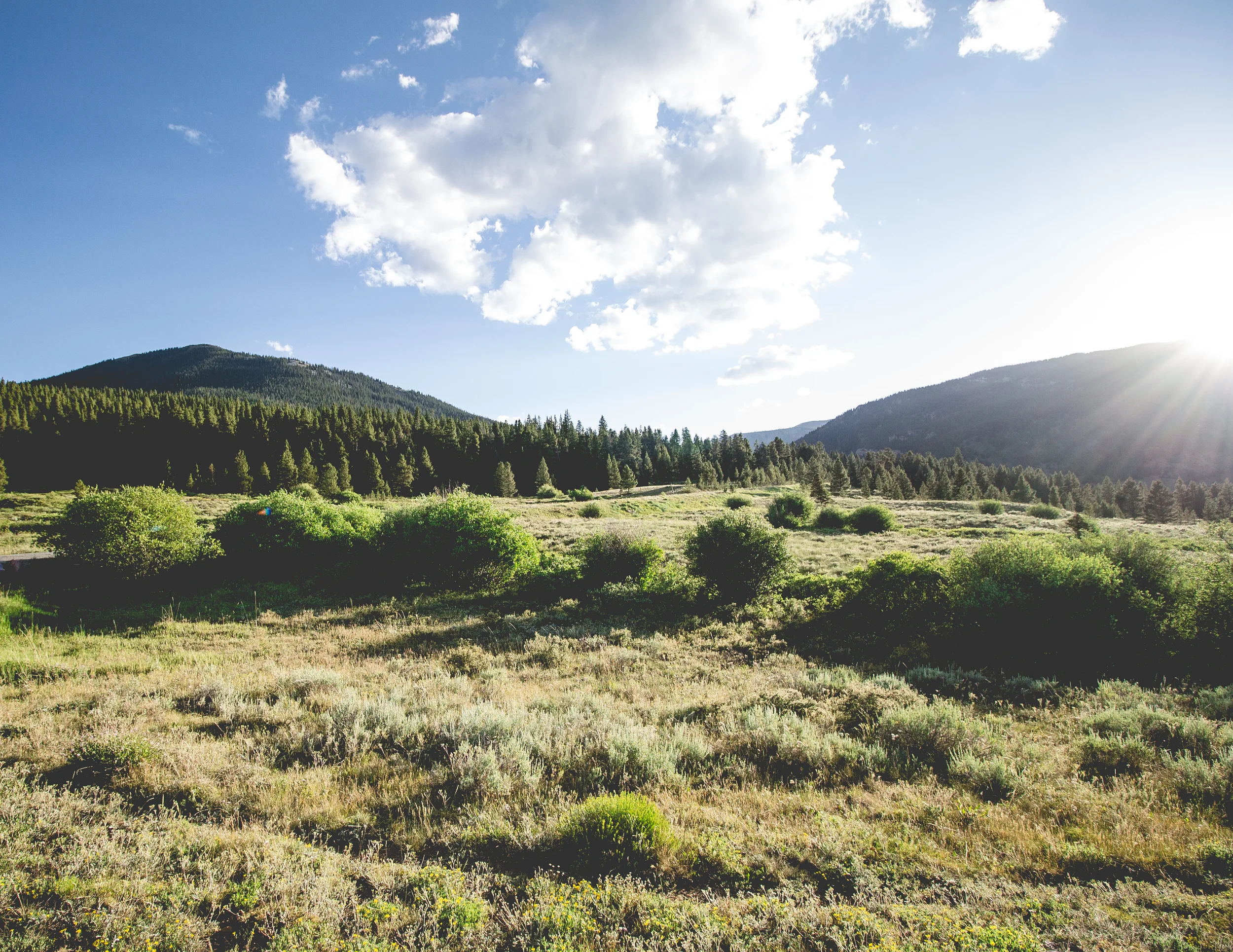 thetrip (29 of 68).jpg