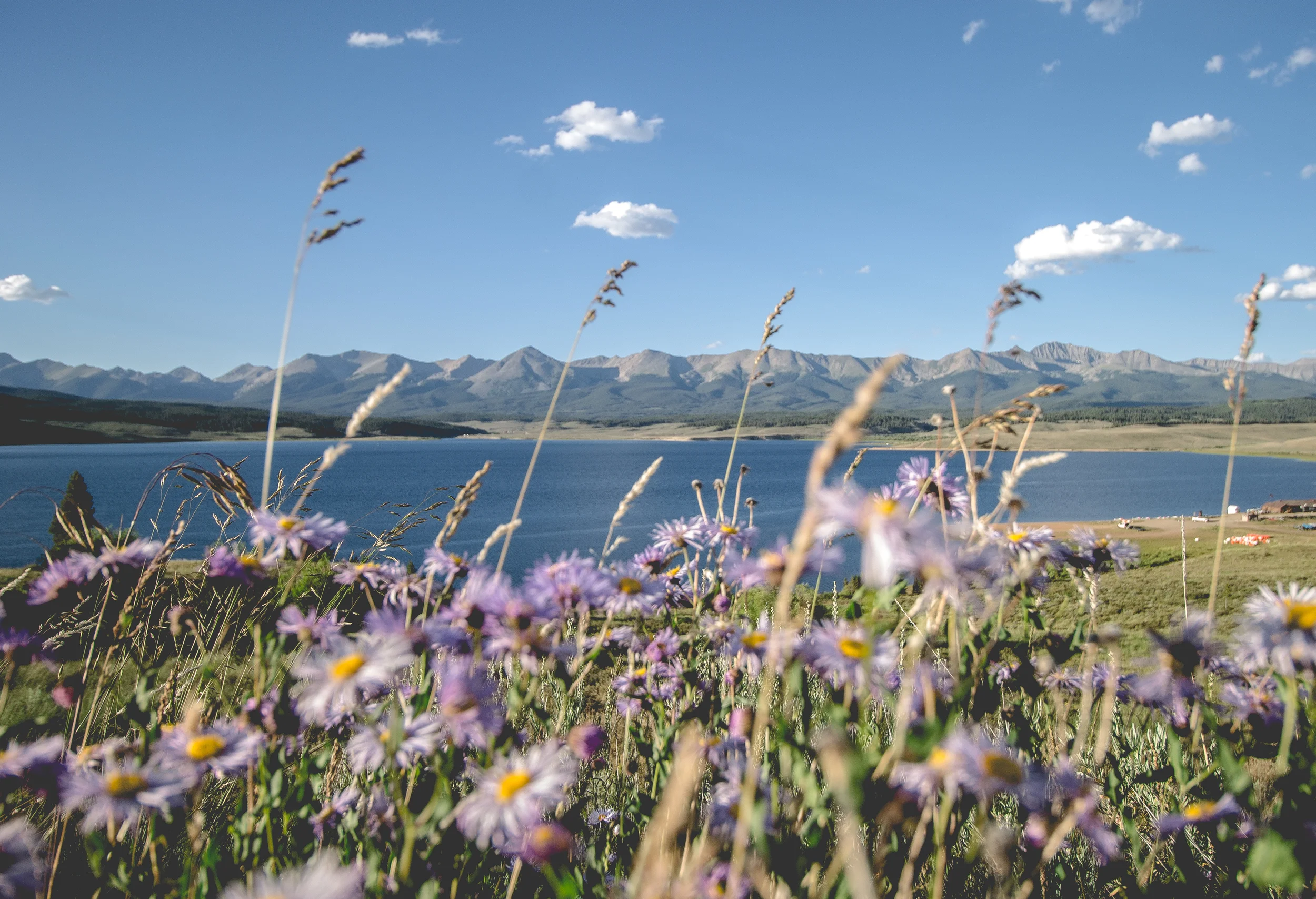 thetrip (25 of 68).jpg