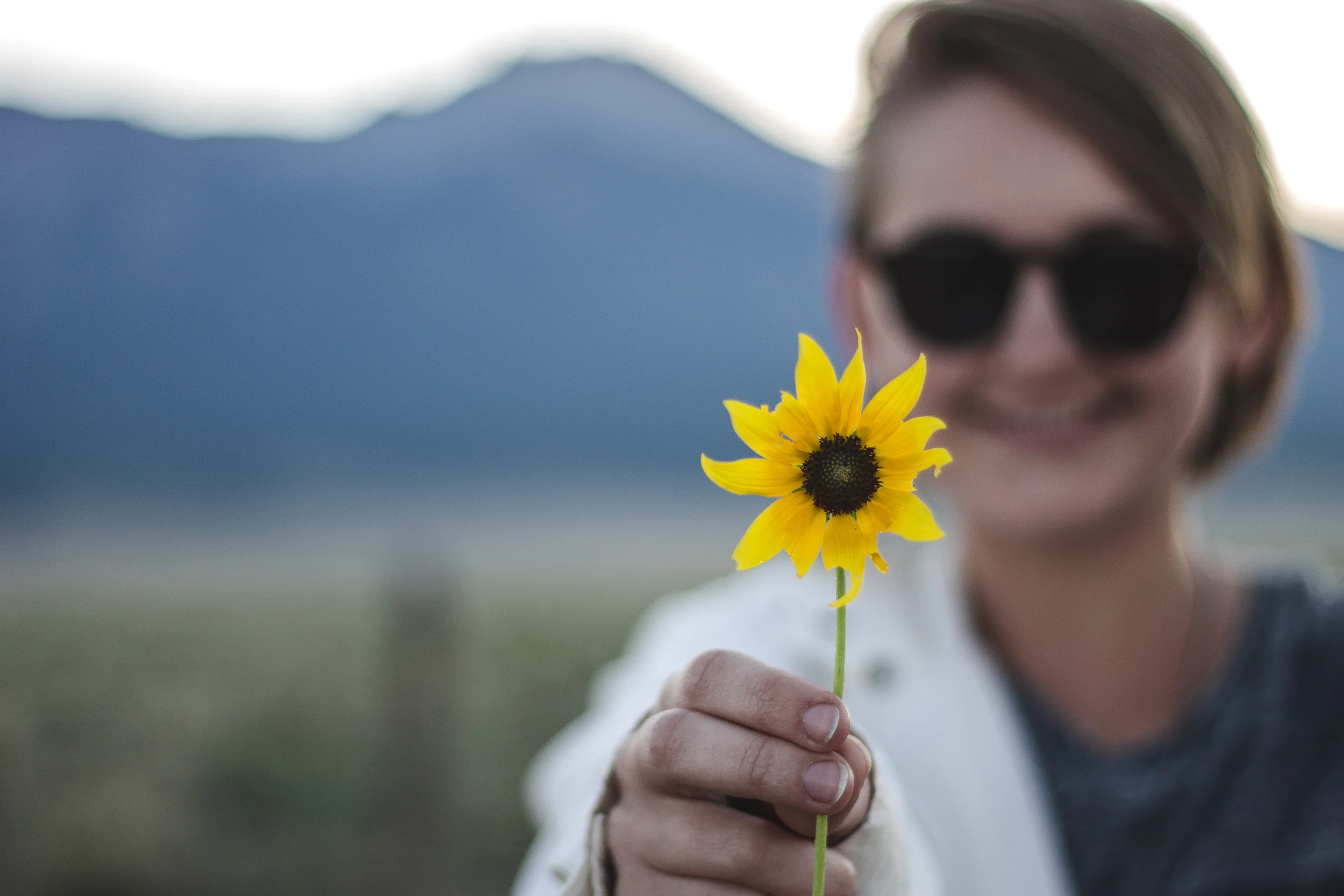 thetrip (2 of 68).jpg