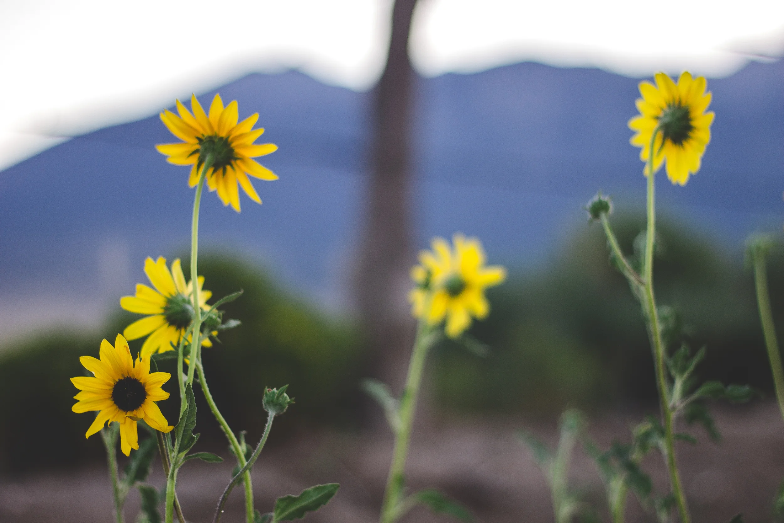 thetrip (3 of 68).jpg