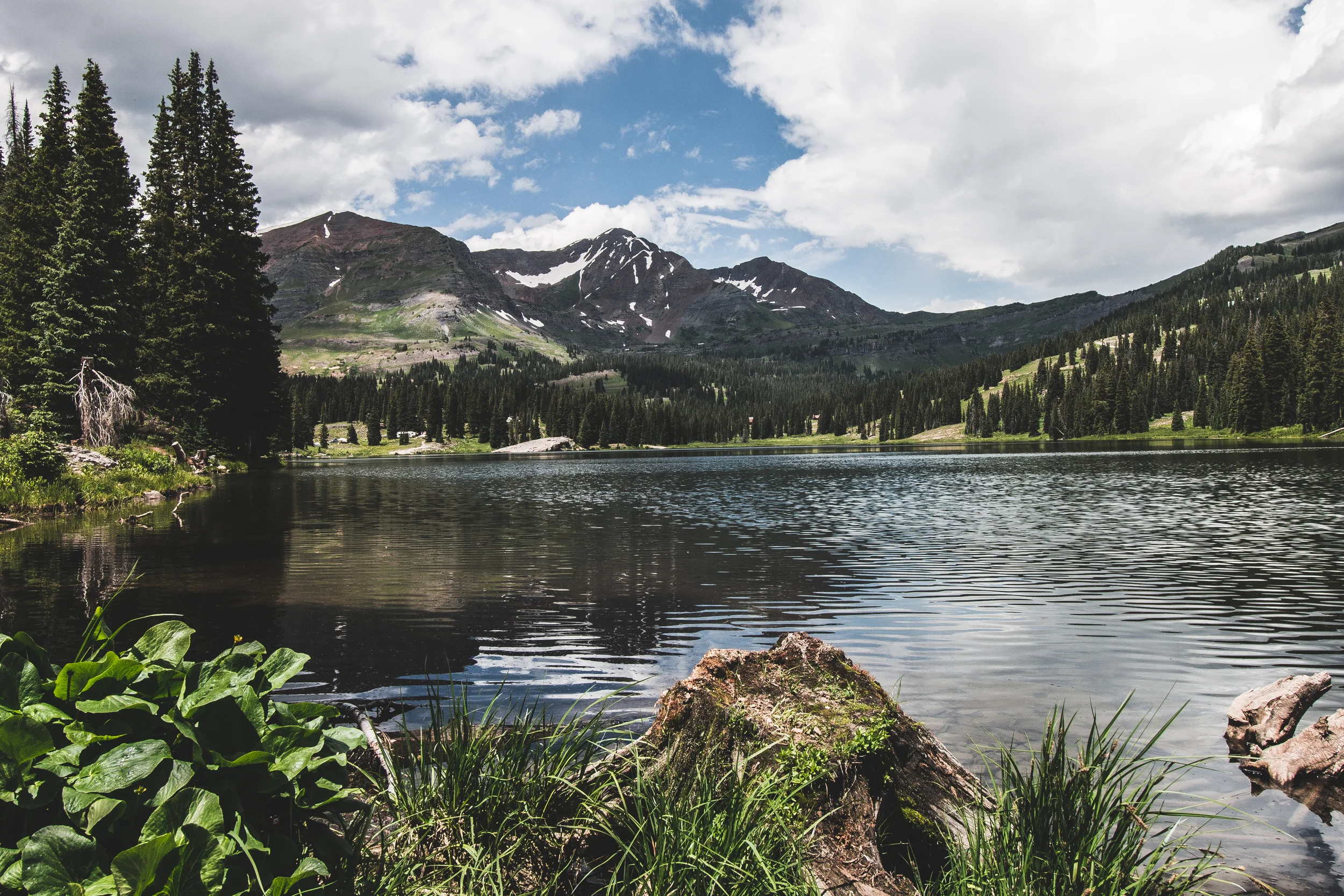 thetrip (40 of 68).jpg