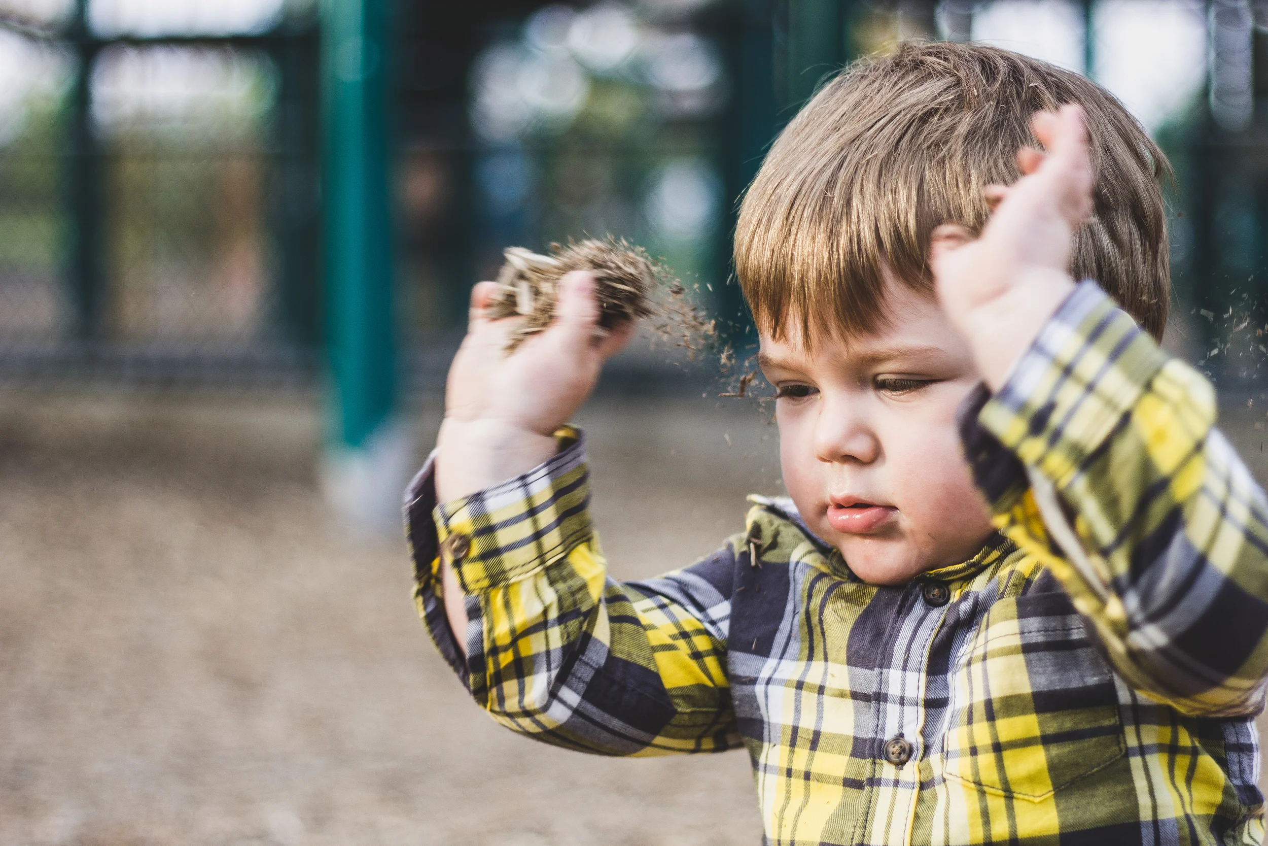 autumnandliam (6 of 9).jpg