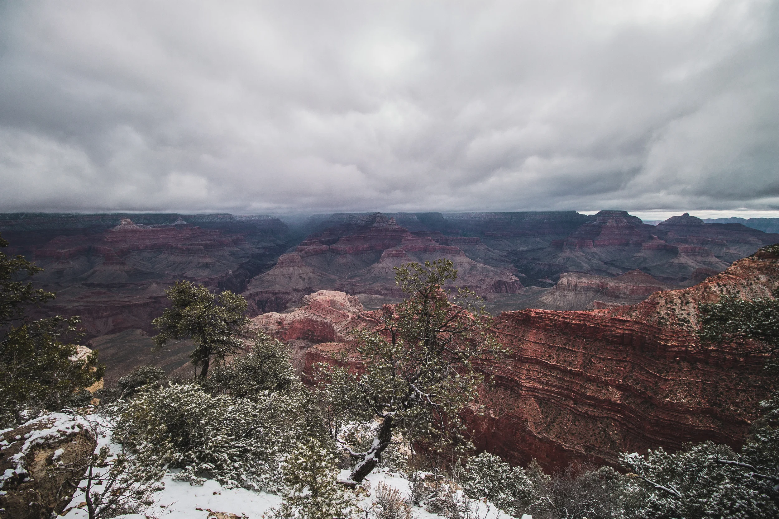 roundone (44 of 68).jpg