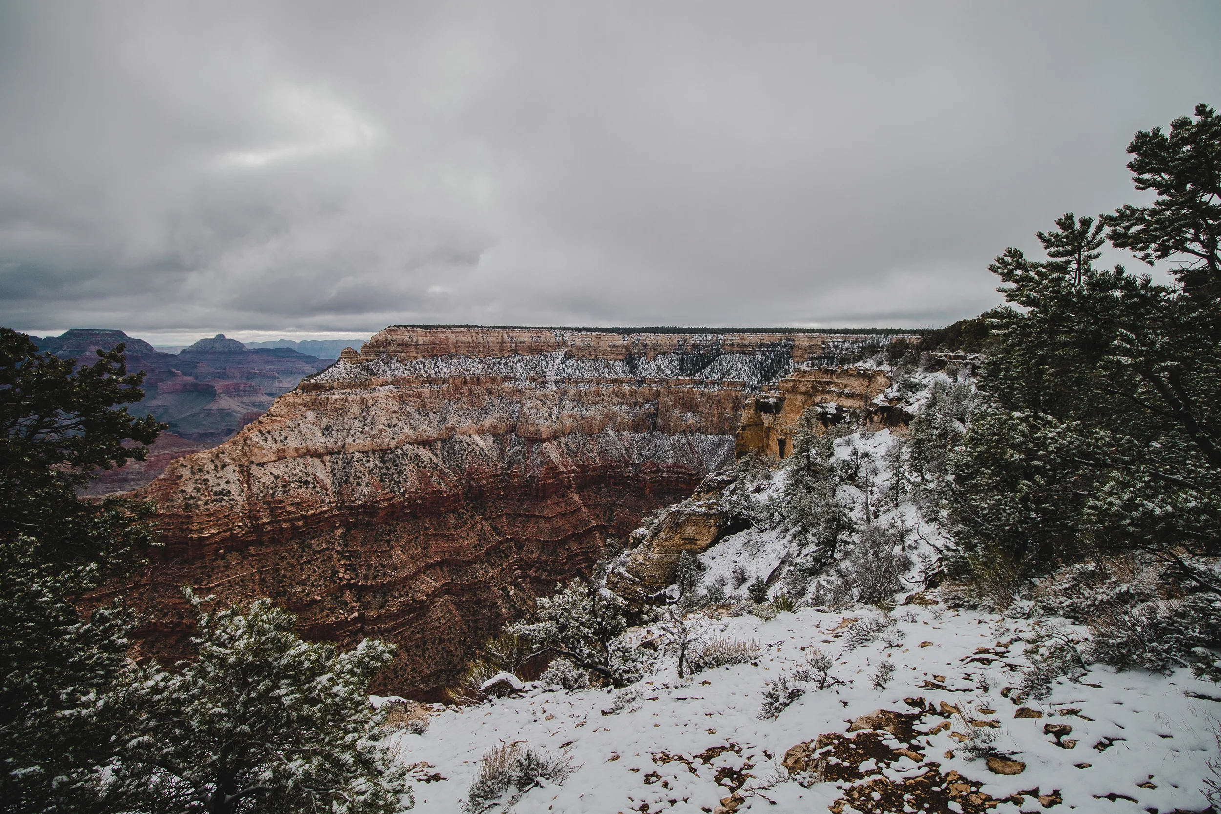 roundone (45 of 68).jpg