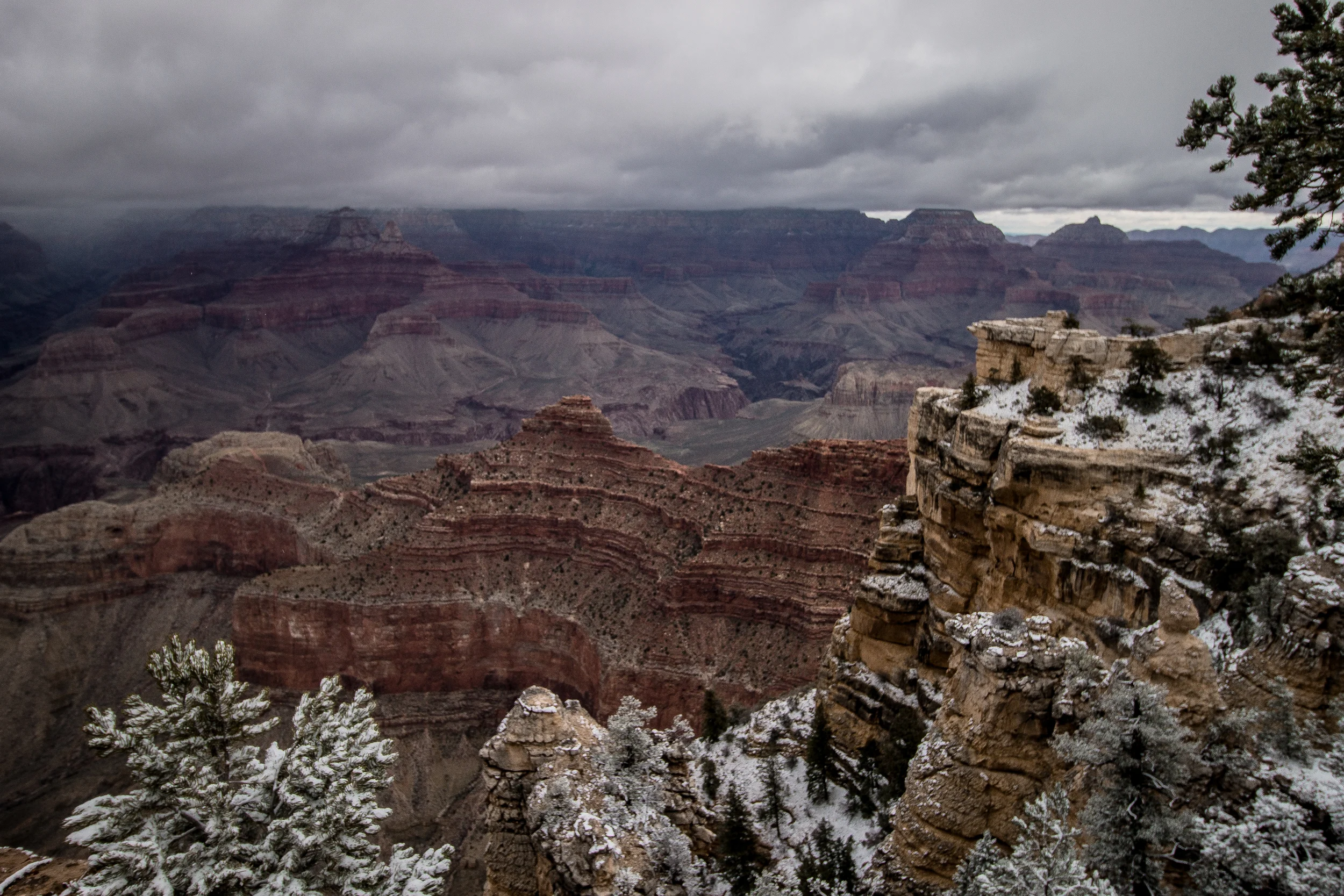 roundone (41 of 68).jpg