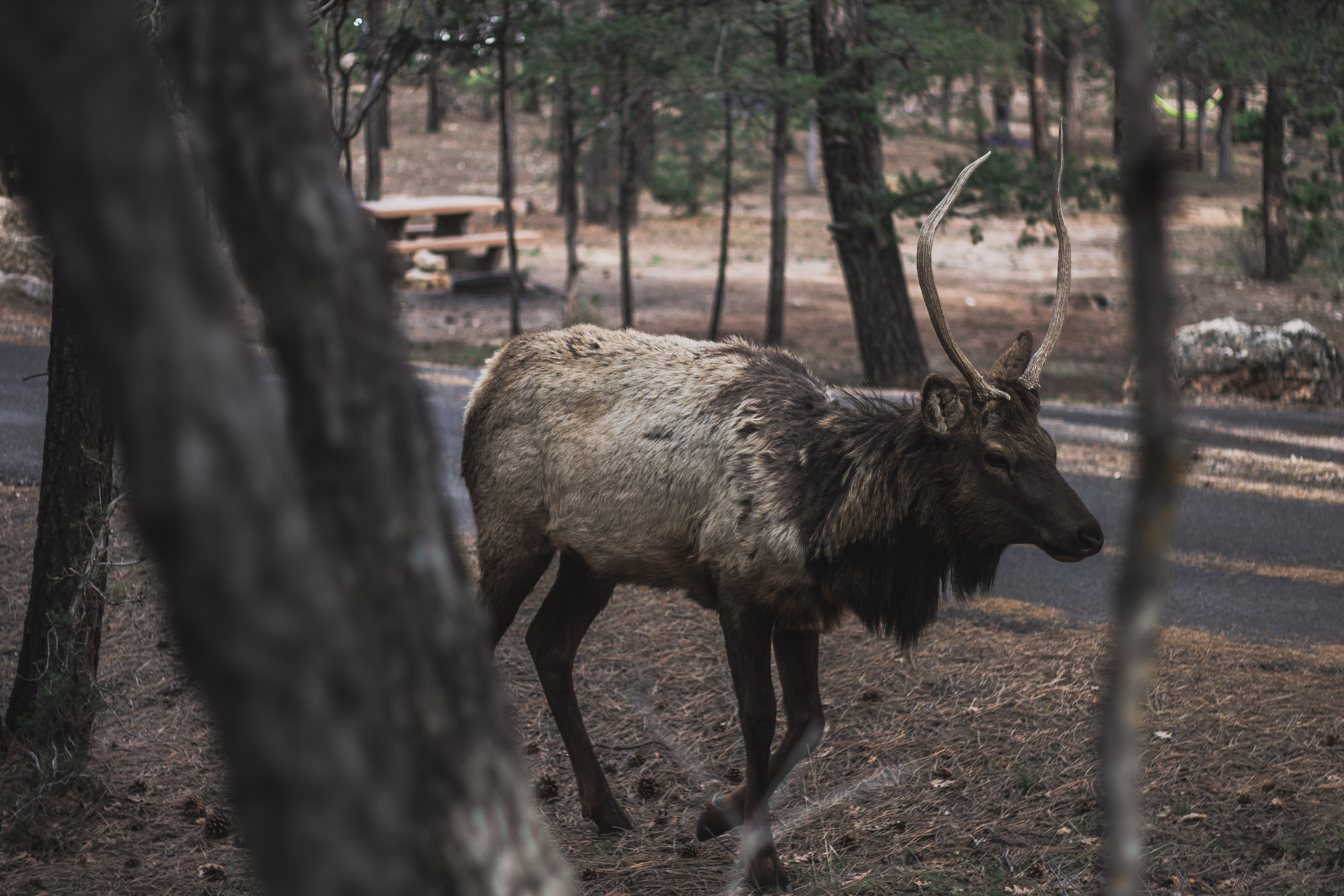 roundone (3 of 68).jpg