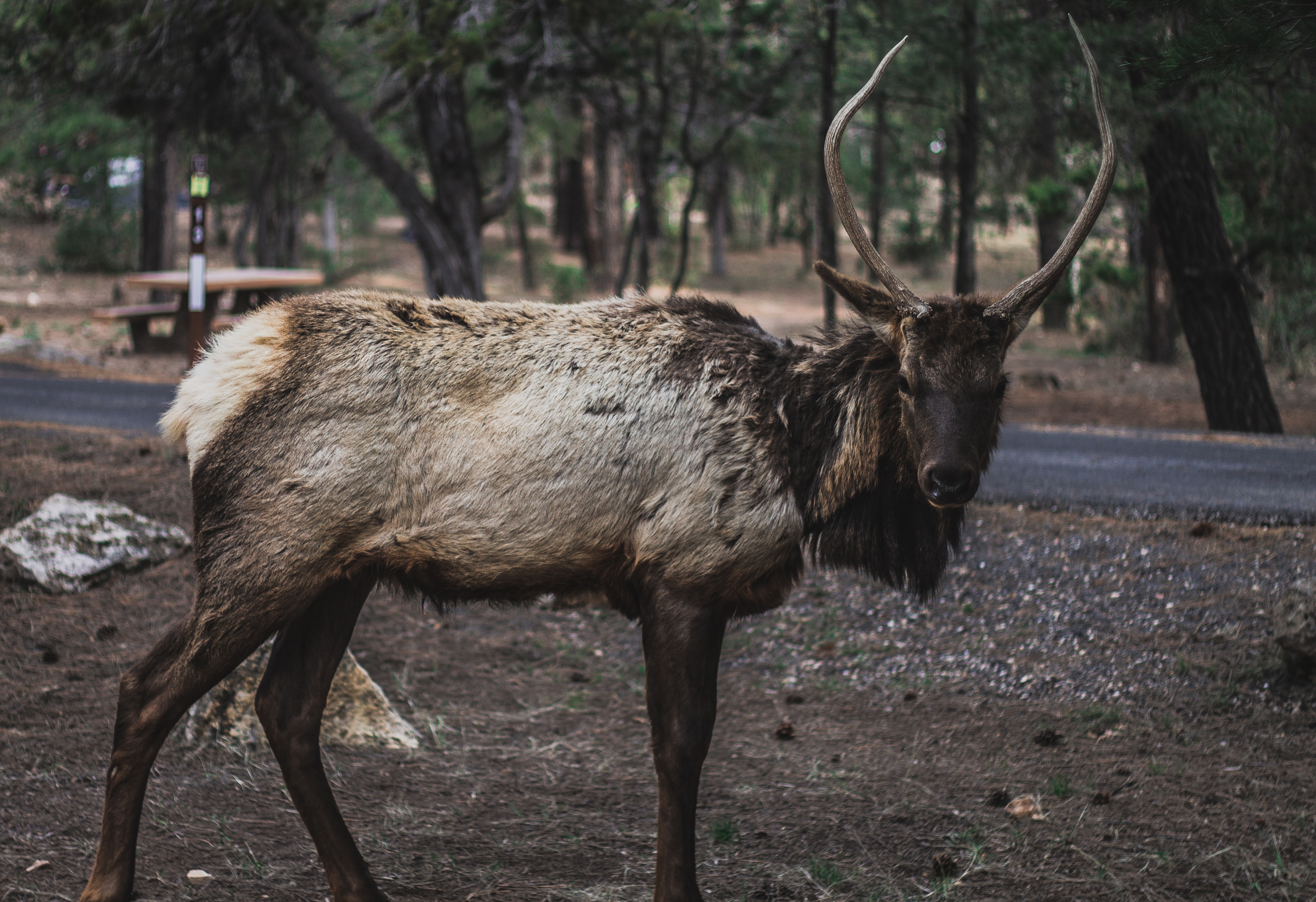 roundone (2 of 68).jpg