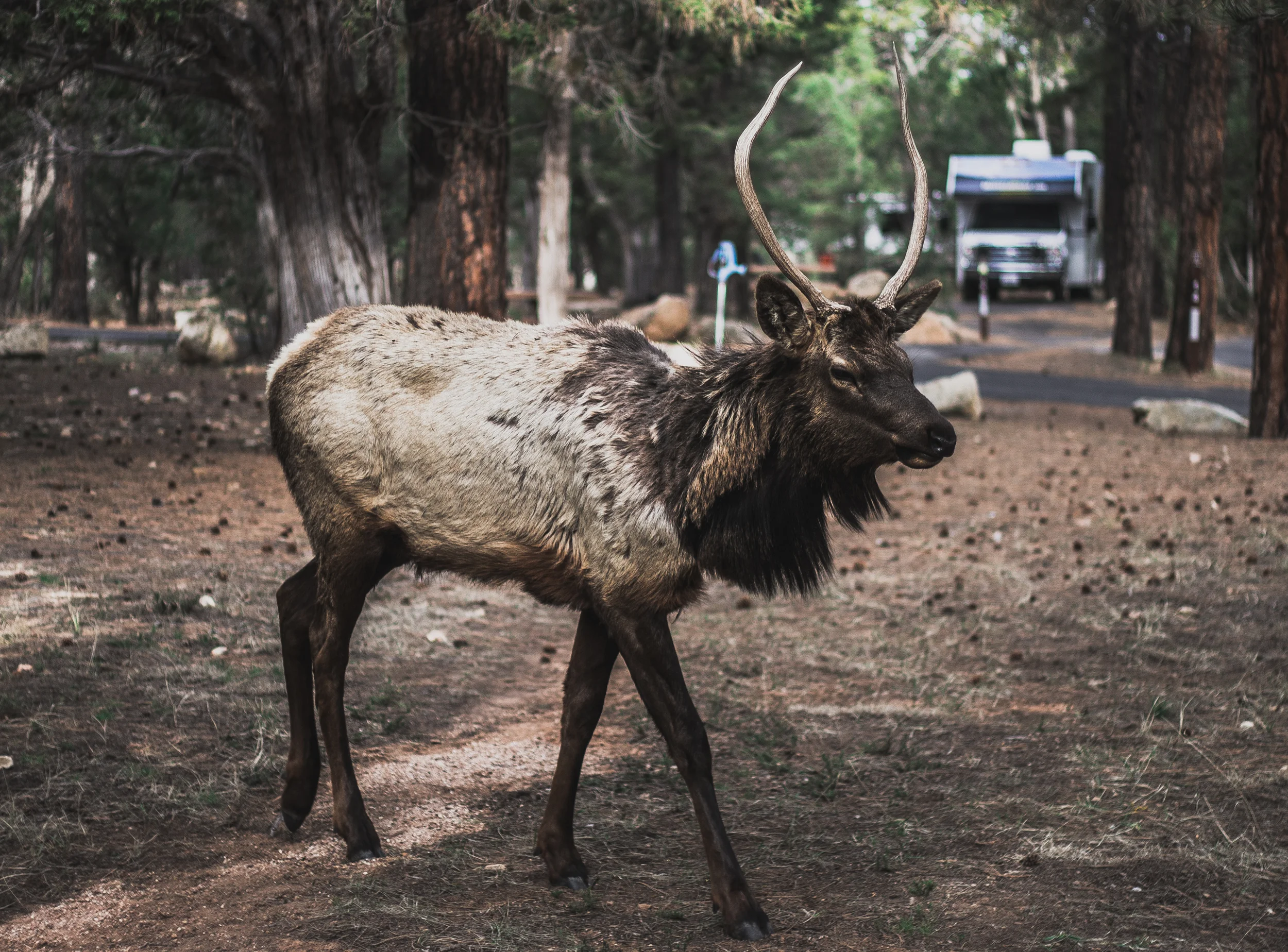 roundone (1 of 68).jpg