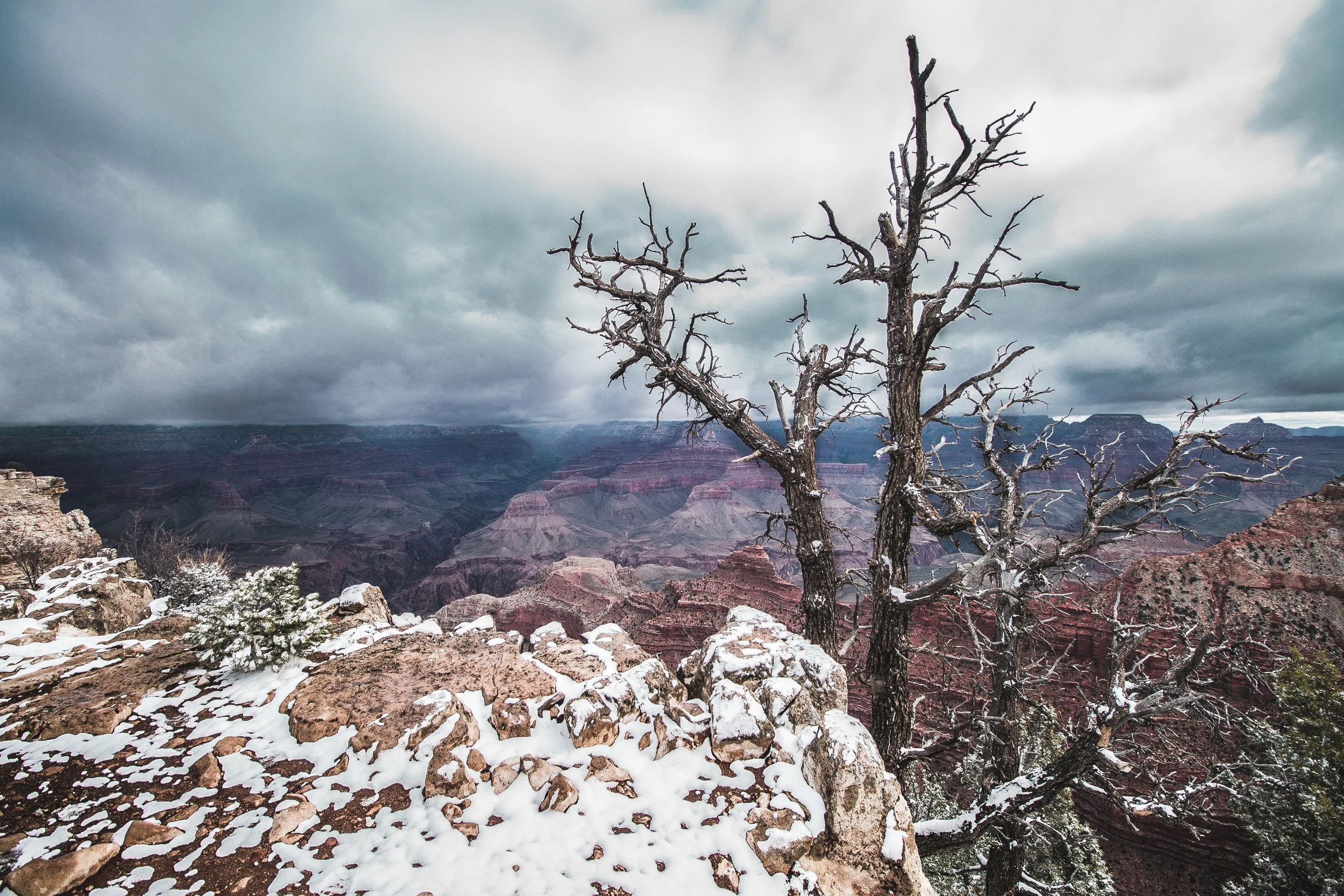 roundone (50 of 68).jpg