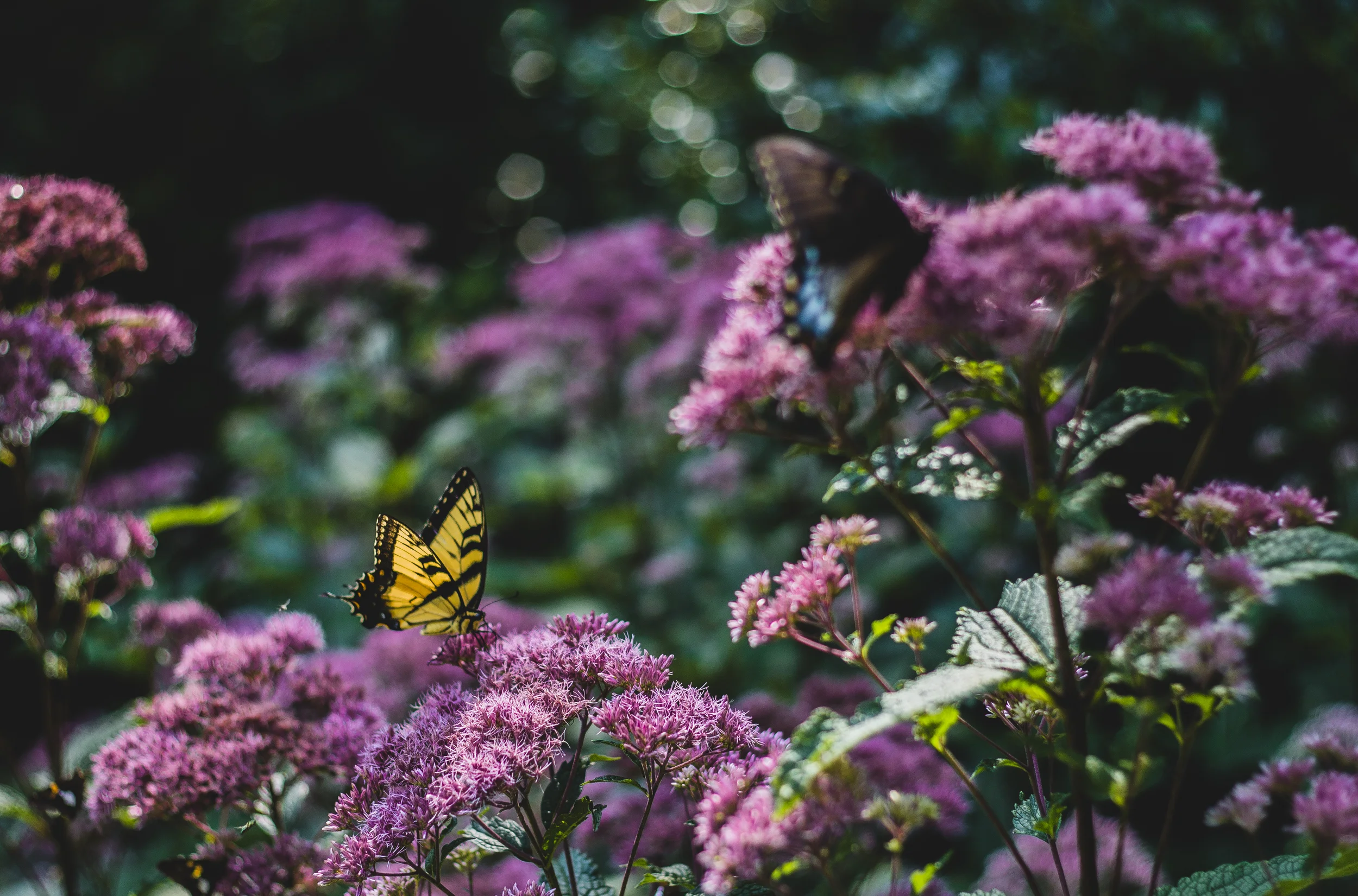 edited (5 of 22).jpg