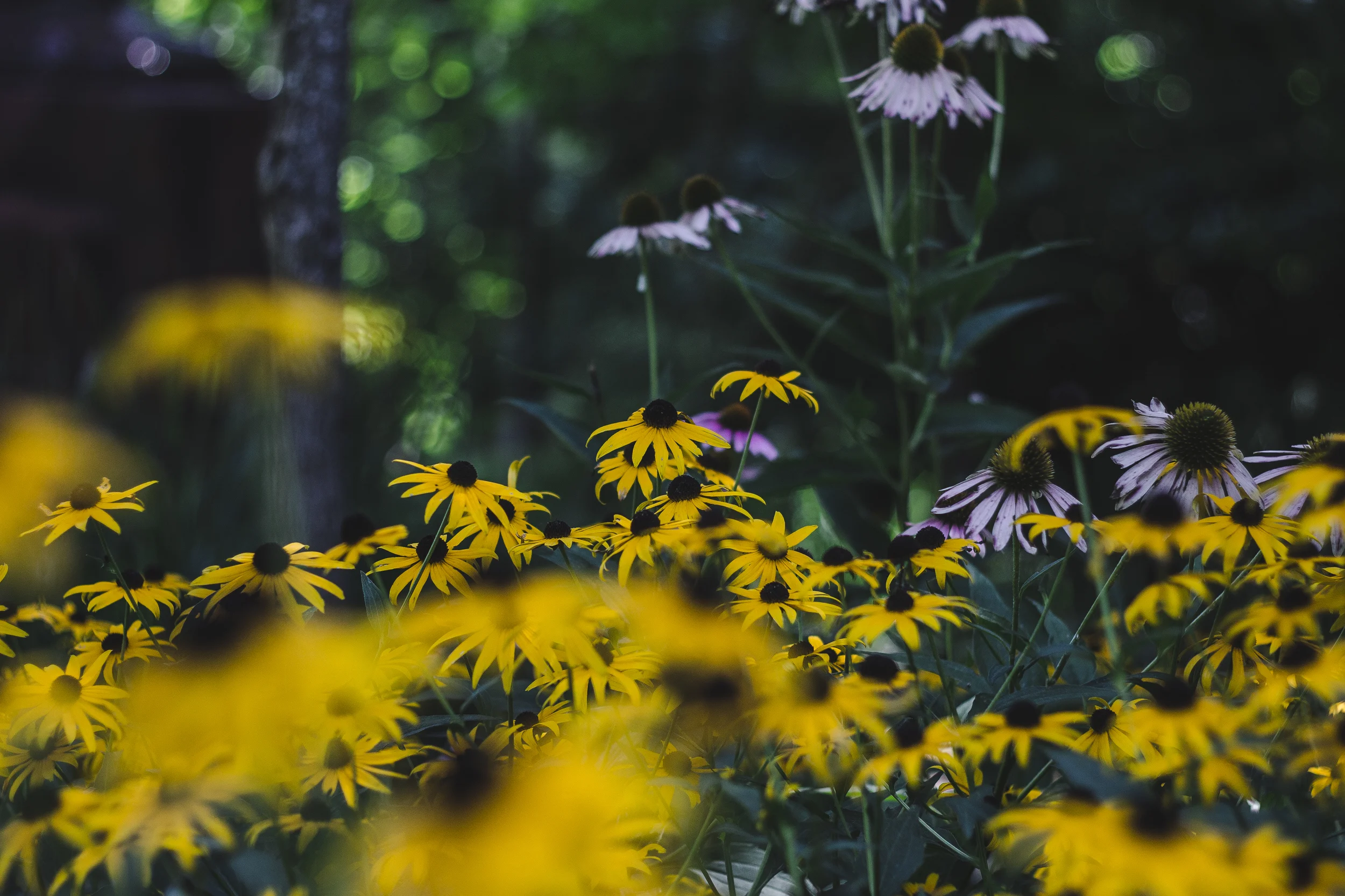 edited (4 of 22).jpg