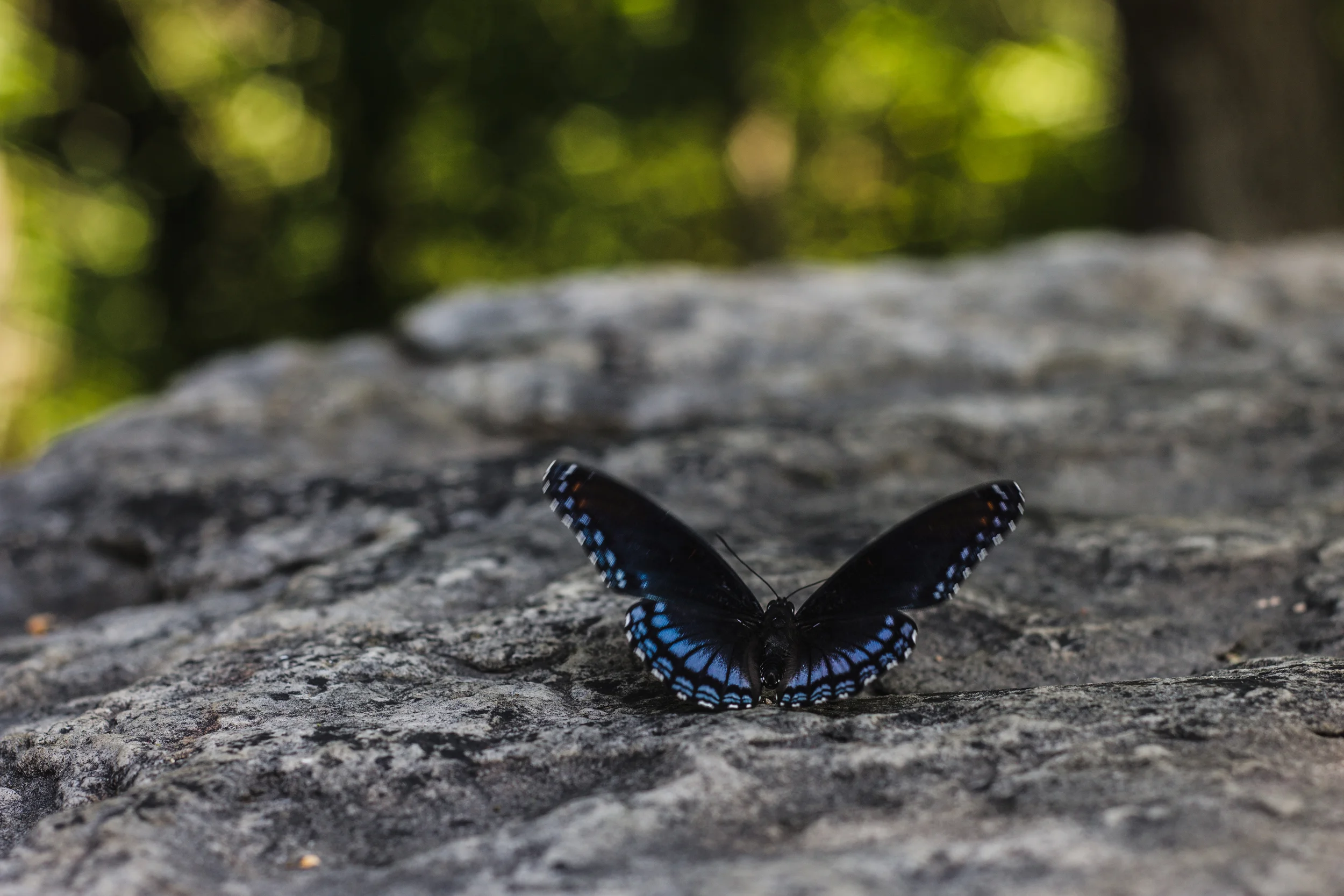 edited (2 of 22).jpg