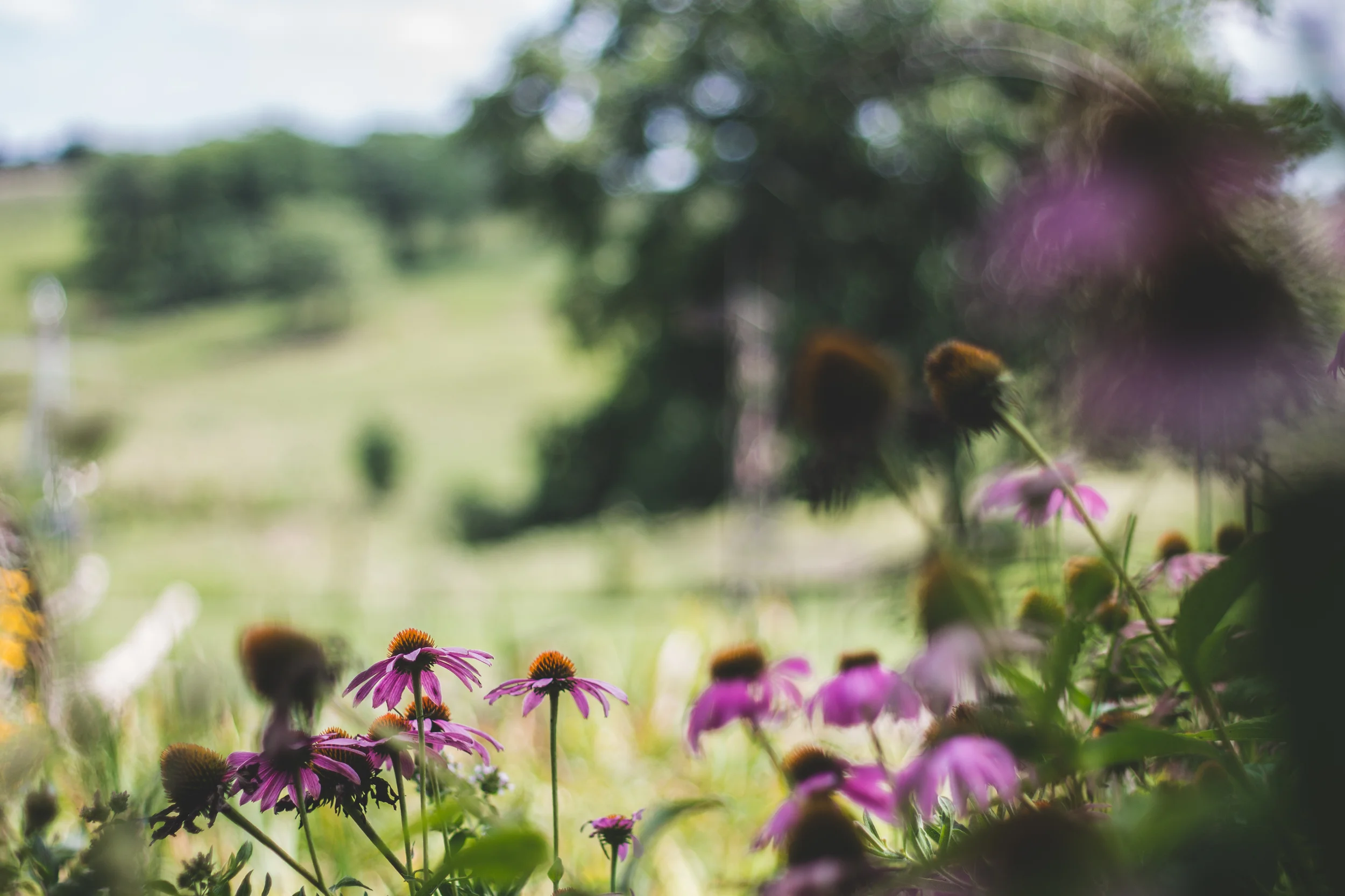 edited1 (21 of 29).jpg