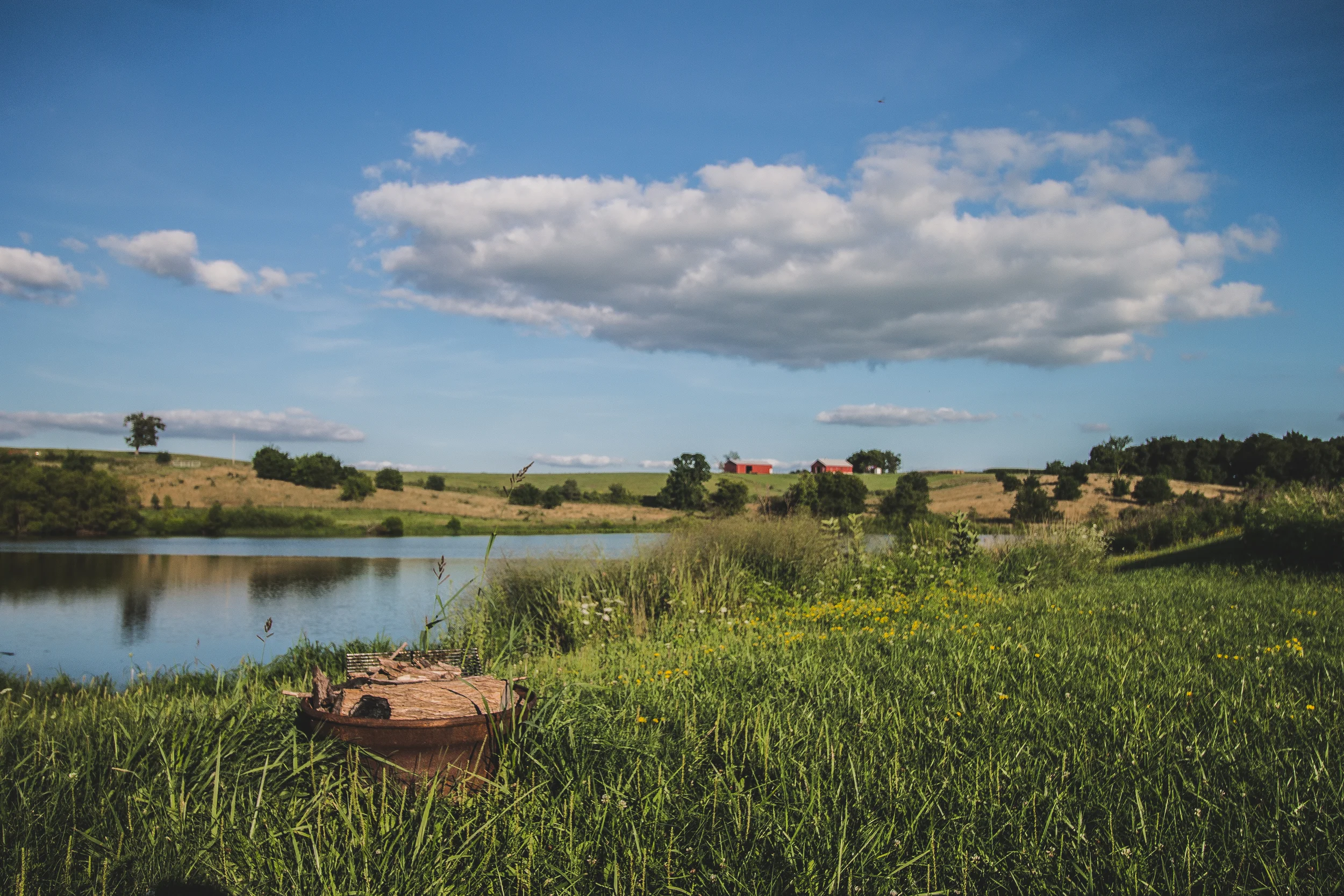 edited1 (22 of 29).jpg