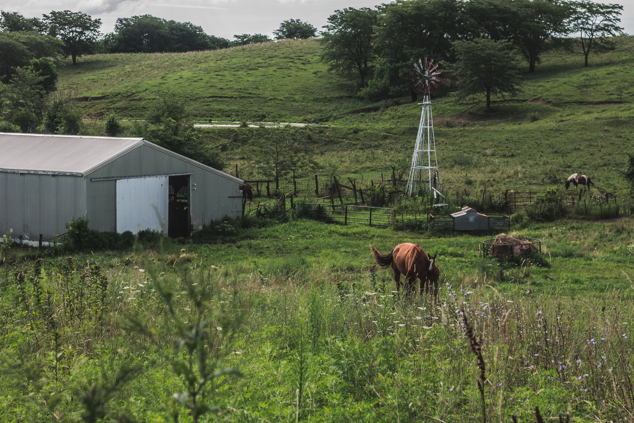 edited1 (15 of 29).jpg