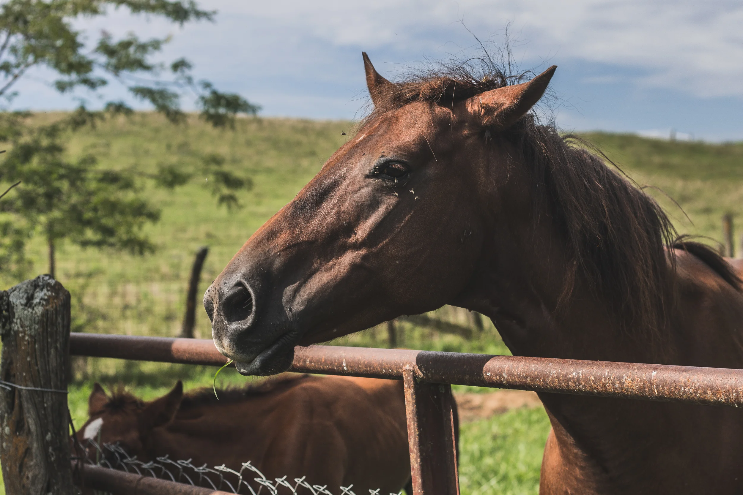 edited1 (13 of 29).jpg