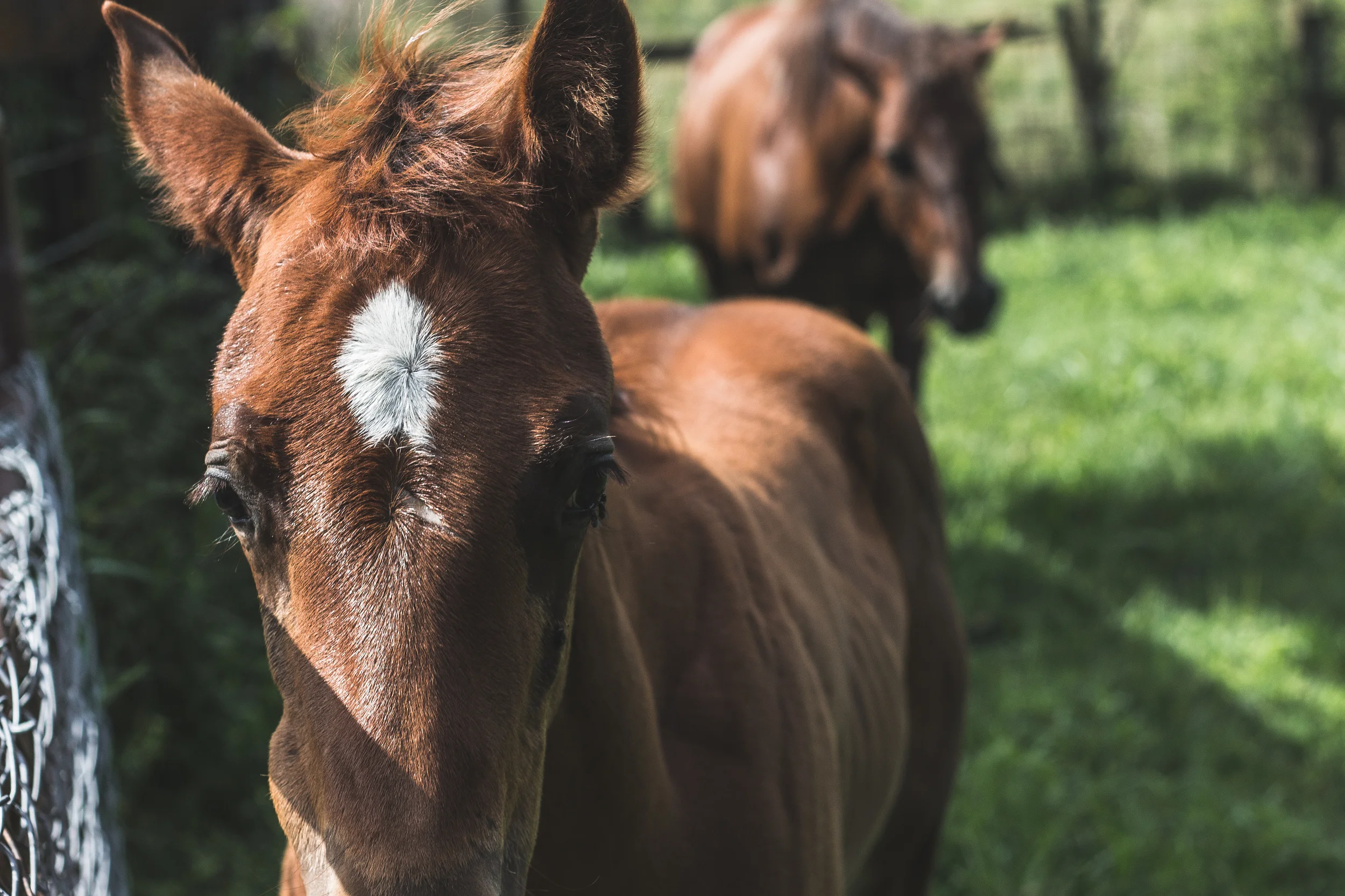 edited1 (12 of 29).jpg