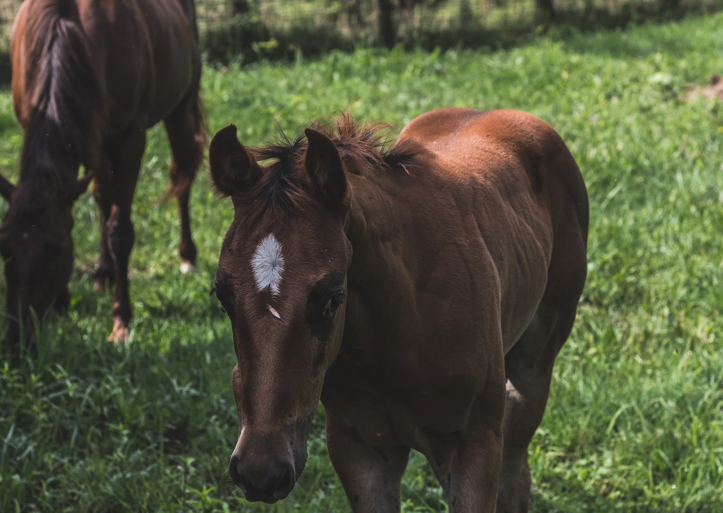 edited1 (11 of 29).jpg