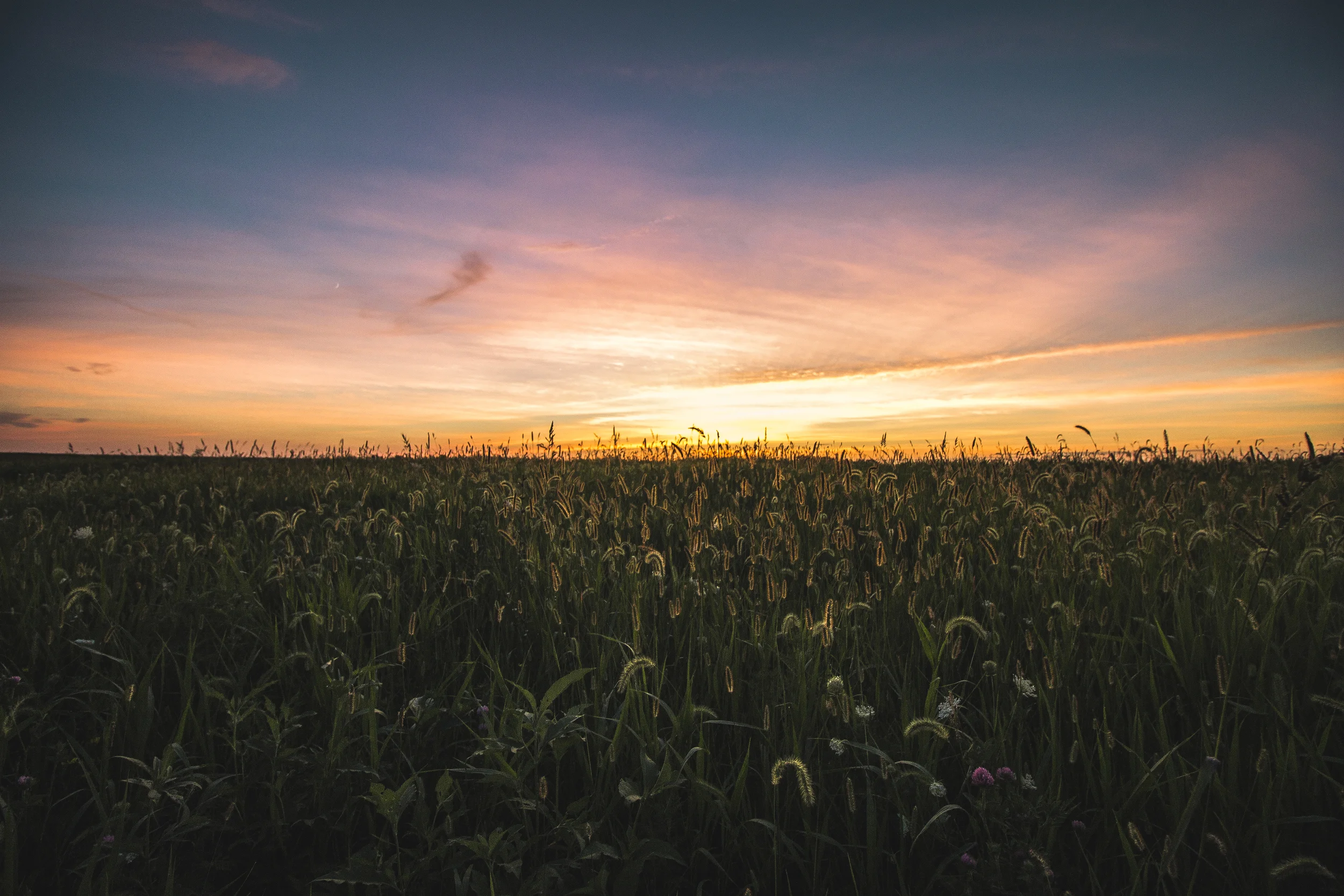 edited1 (8 of 29).jpg