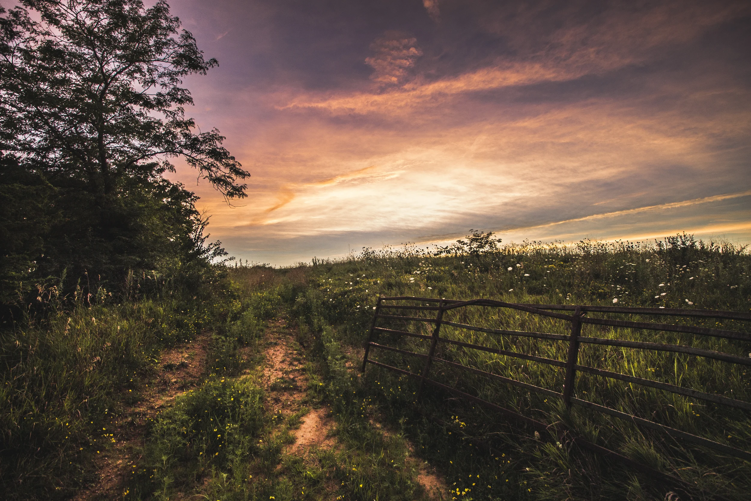 edited1 (5 of 29).jpg