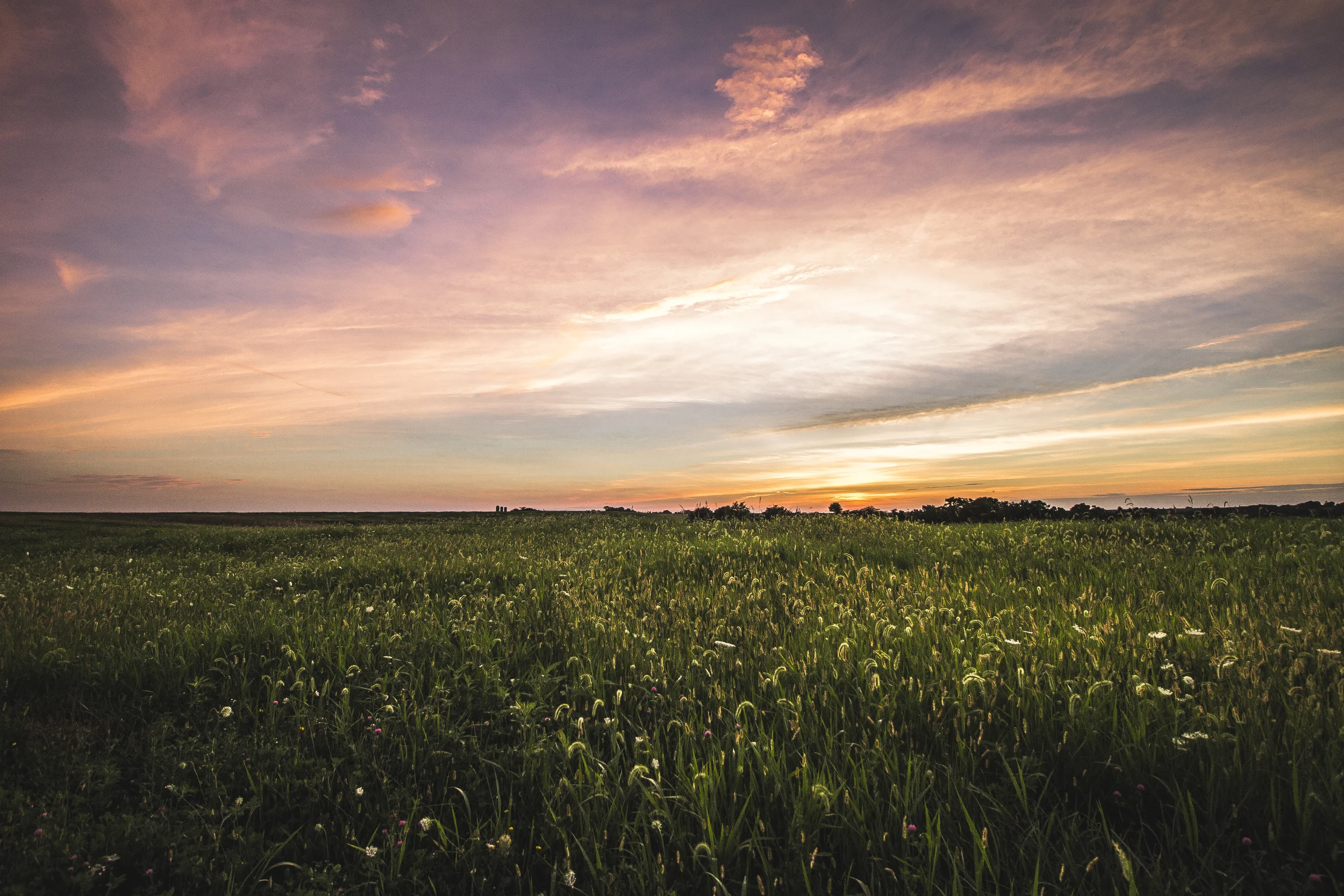 edited1 (3 of 29).jpg