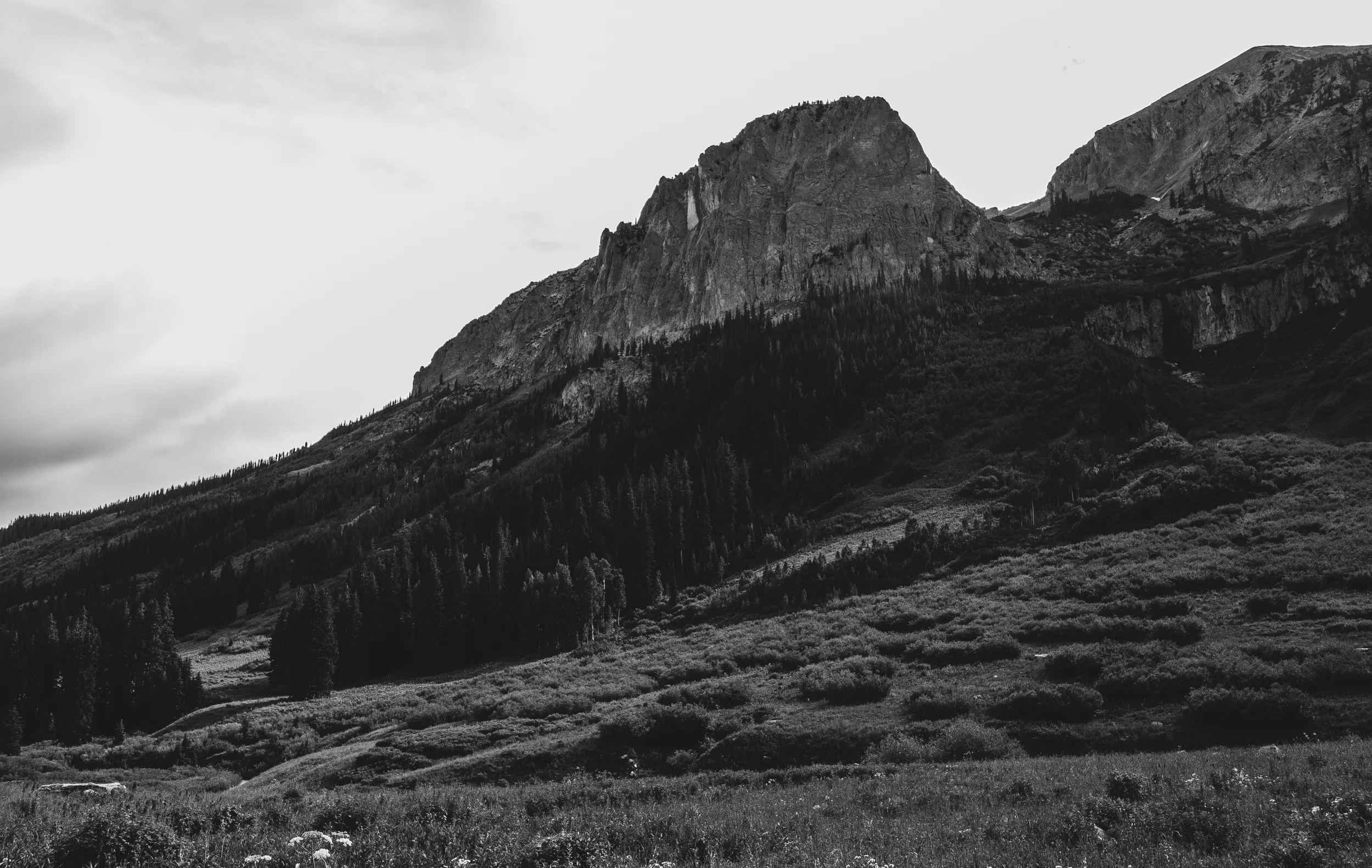 thetrip (48 of 68).jpg