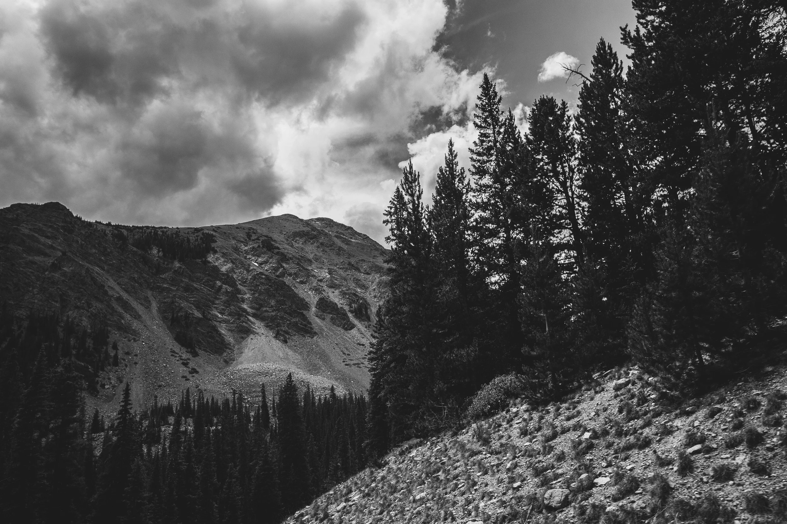 bwedits (12 of 12).jpg