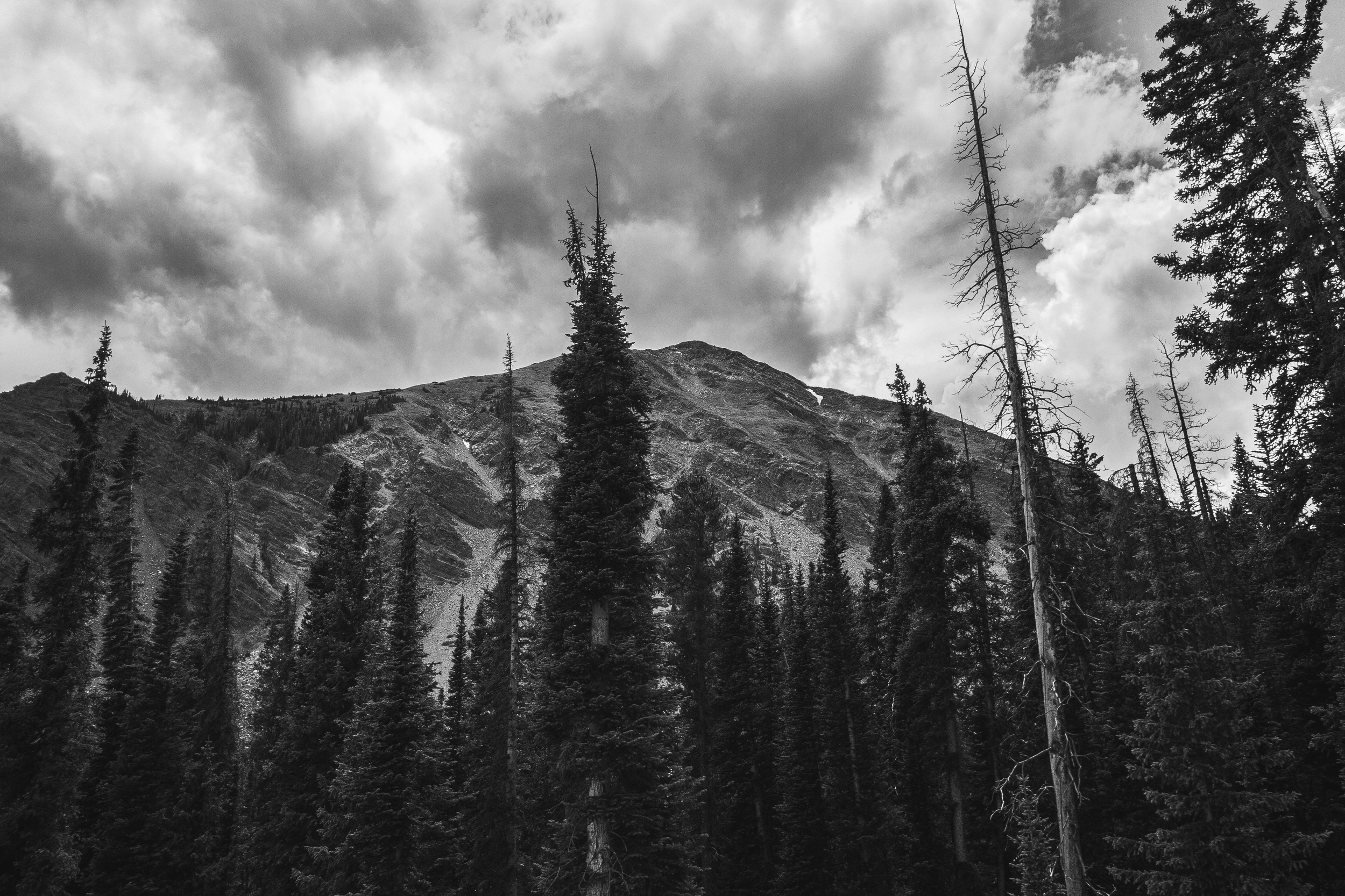 bwedits (11 of 12).jpg