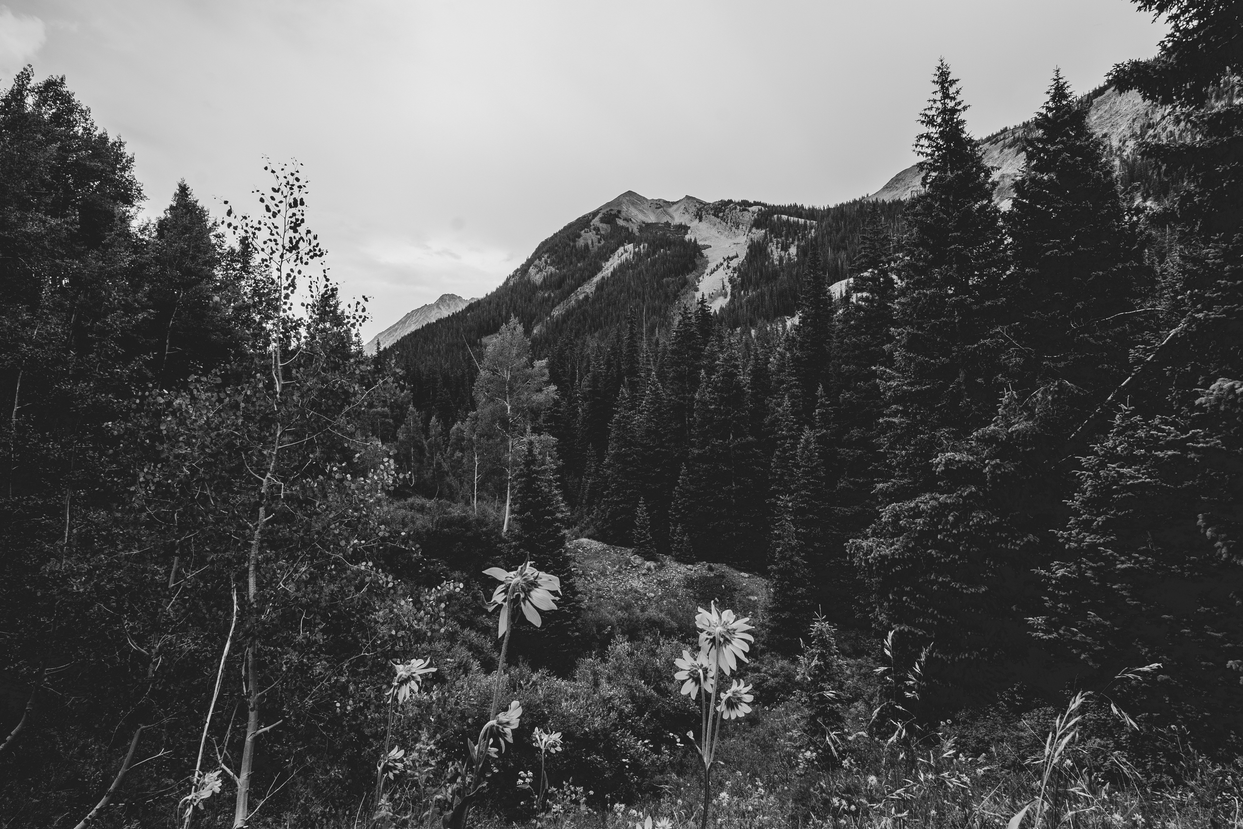 bwedits (6 of 12).jpg