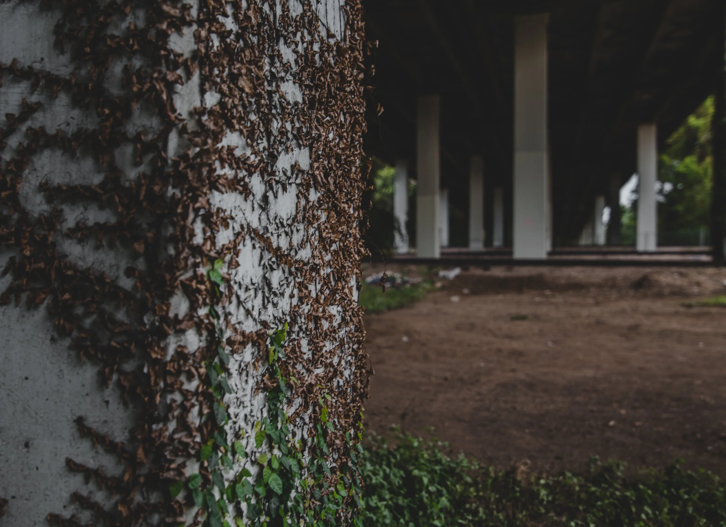 firstgow-it (25 of 25).jpg