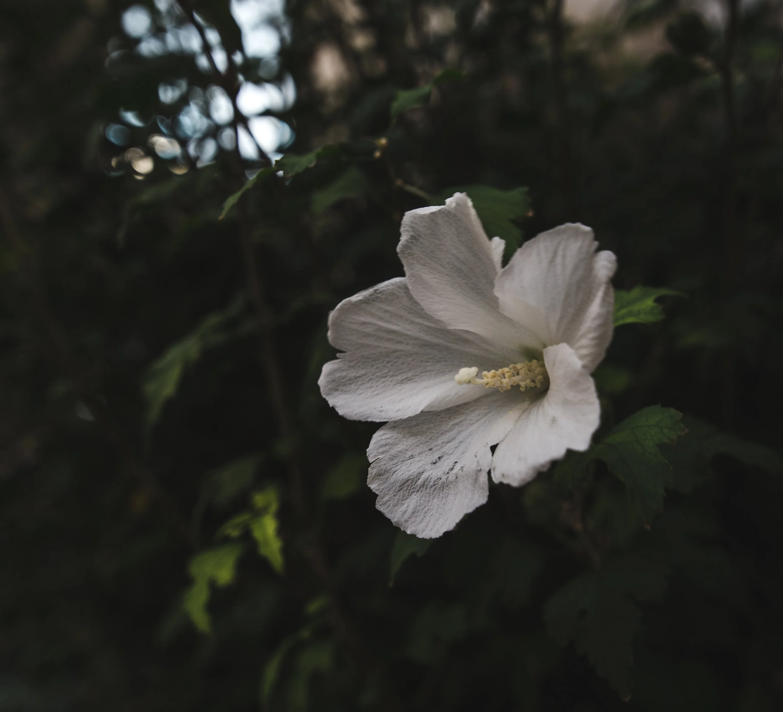 bigger (10 of 24).jpg