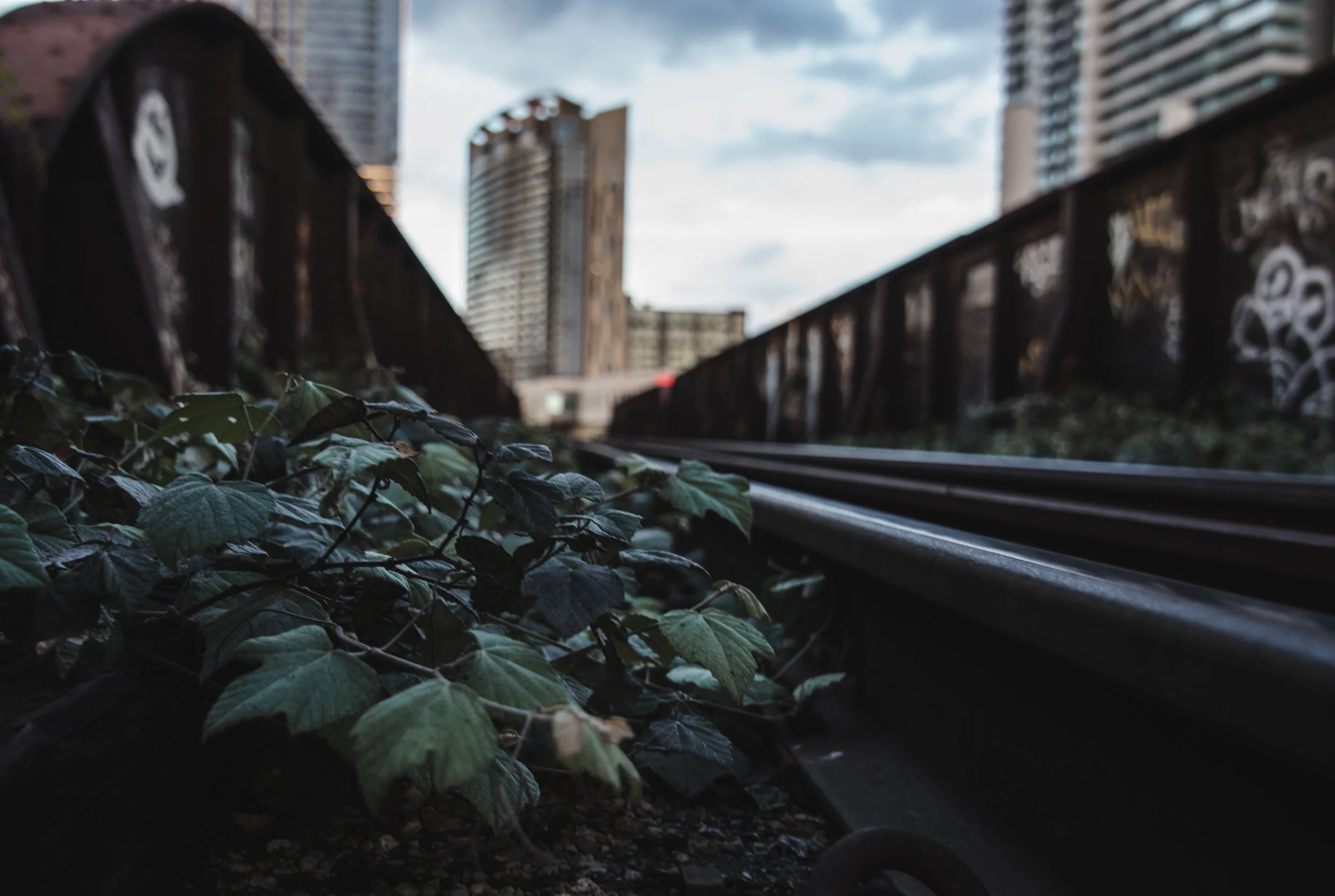 bigger (18 of 24).jpg