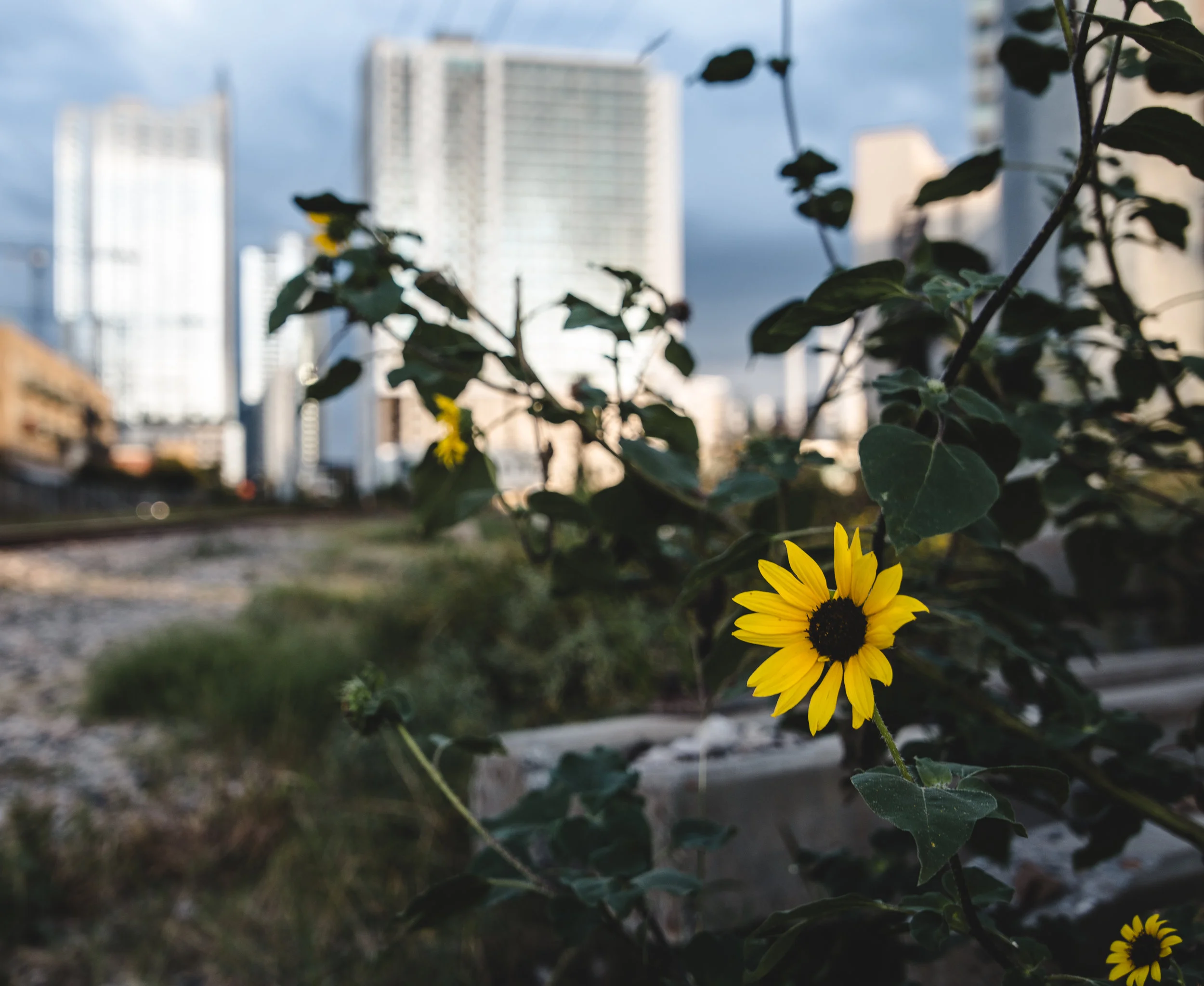 bigger (15 of 24).jpg