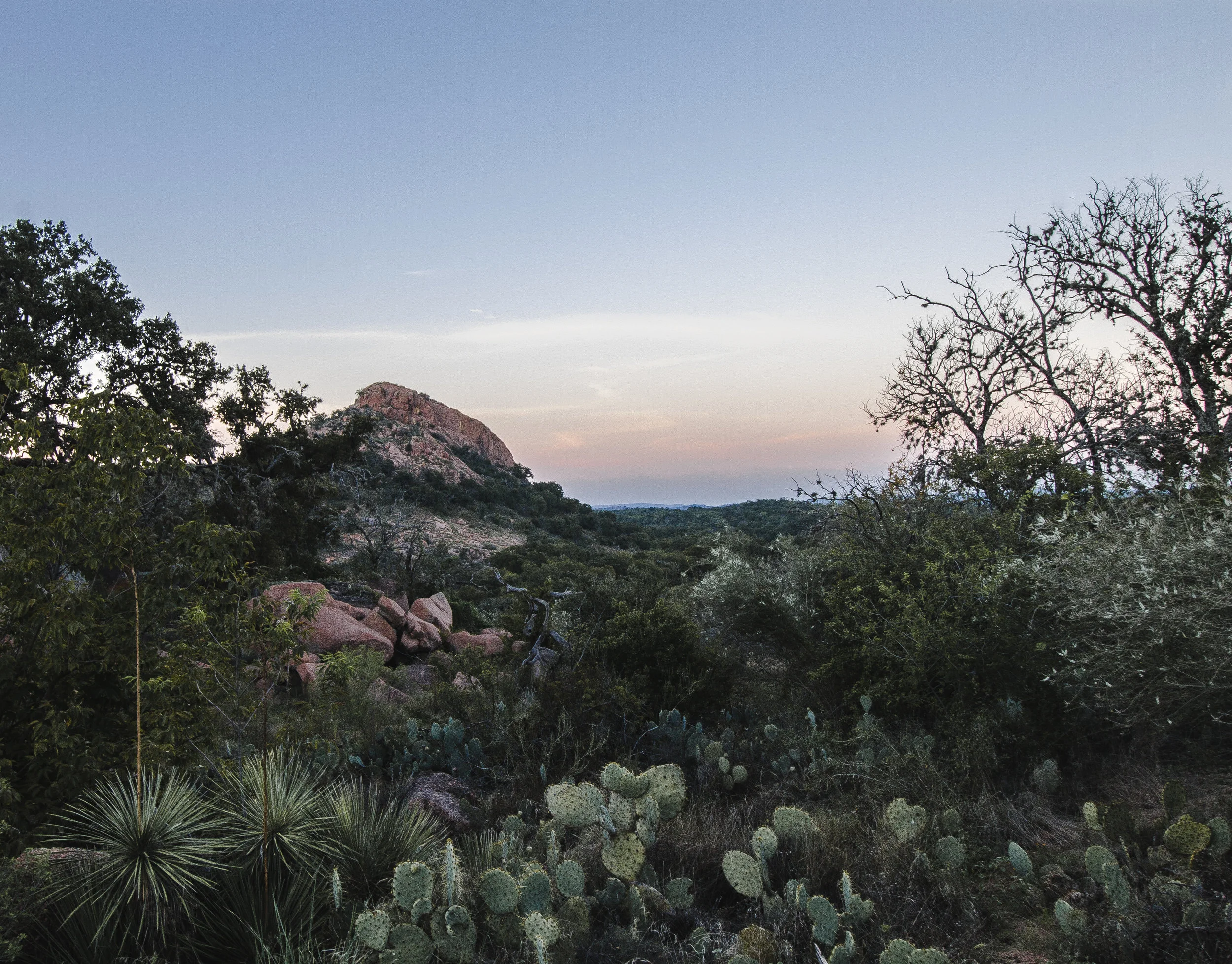 shareper2 (1 of 1).jpg