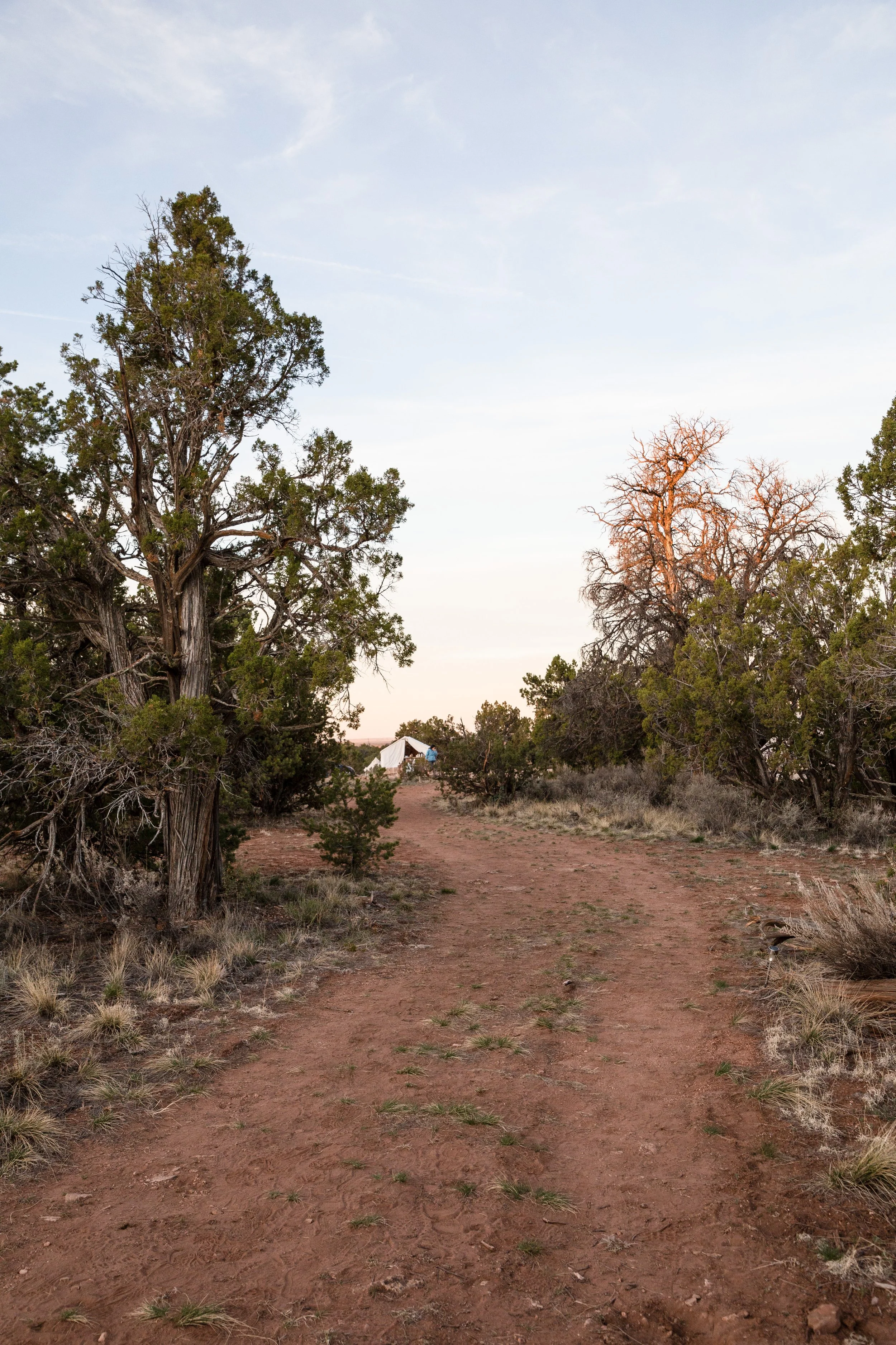 Wander Camp Final Photos-11.jpg