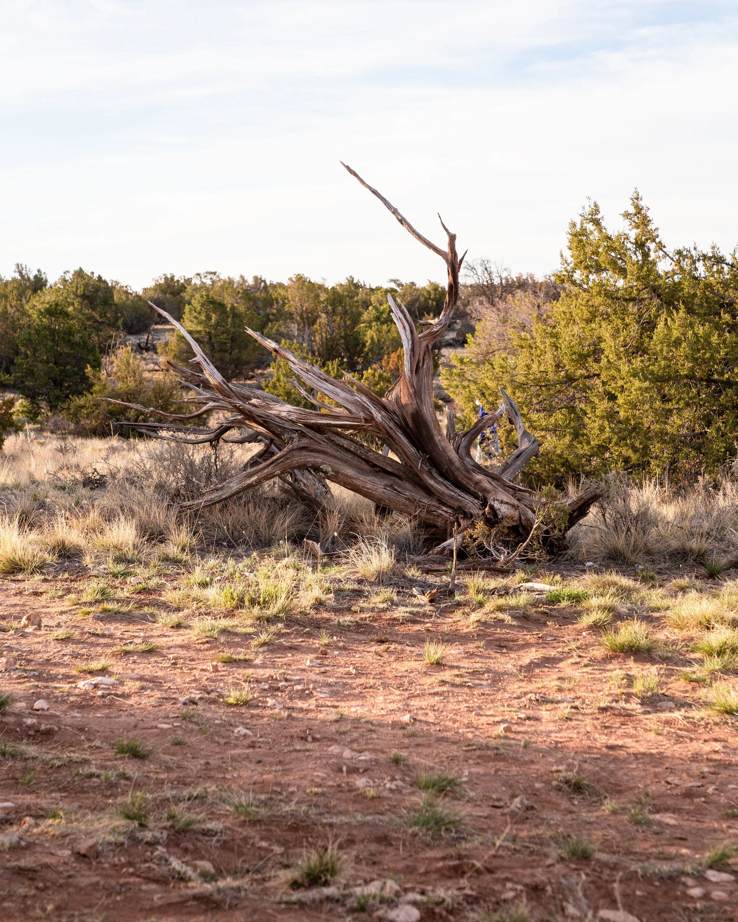 Wander Camp Final Photos-16.jpg